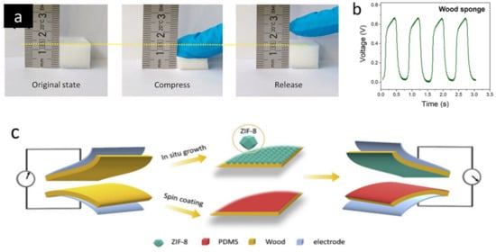 Forests 13 01004 g010