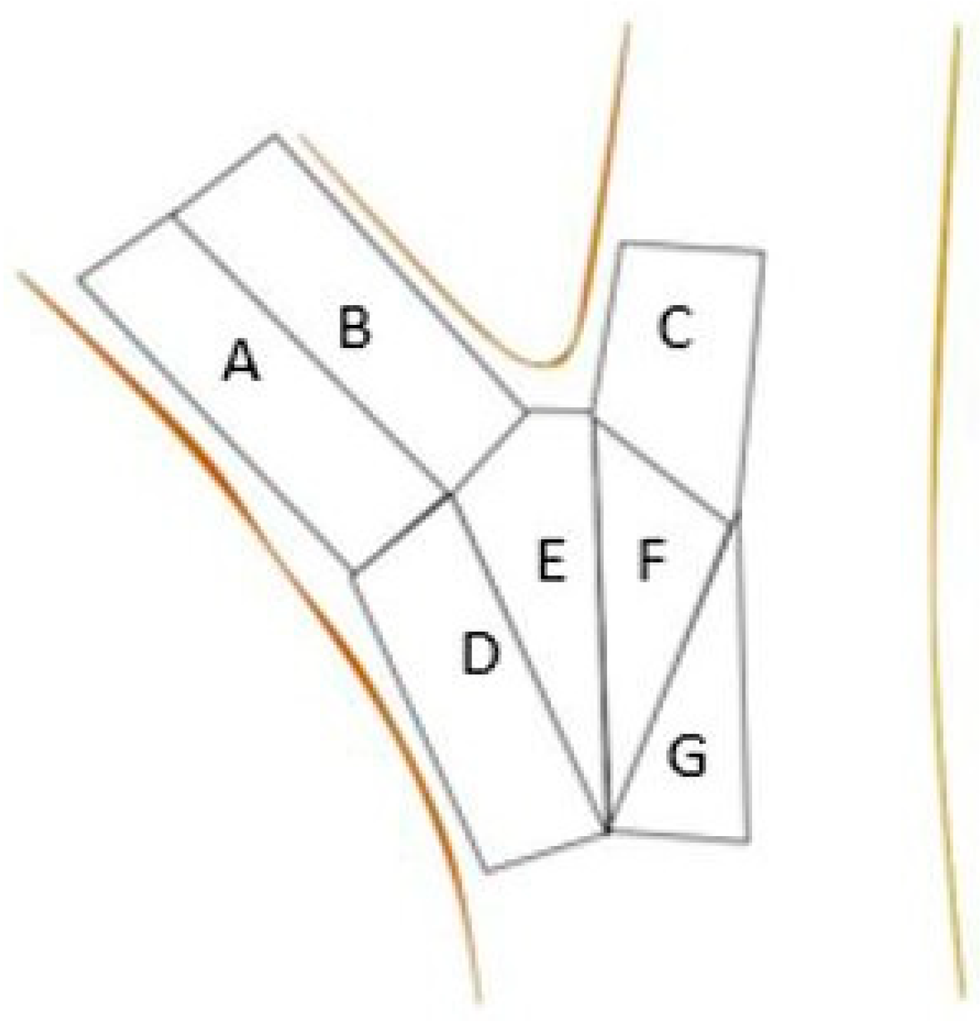 Forests 13 01007 g003