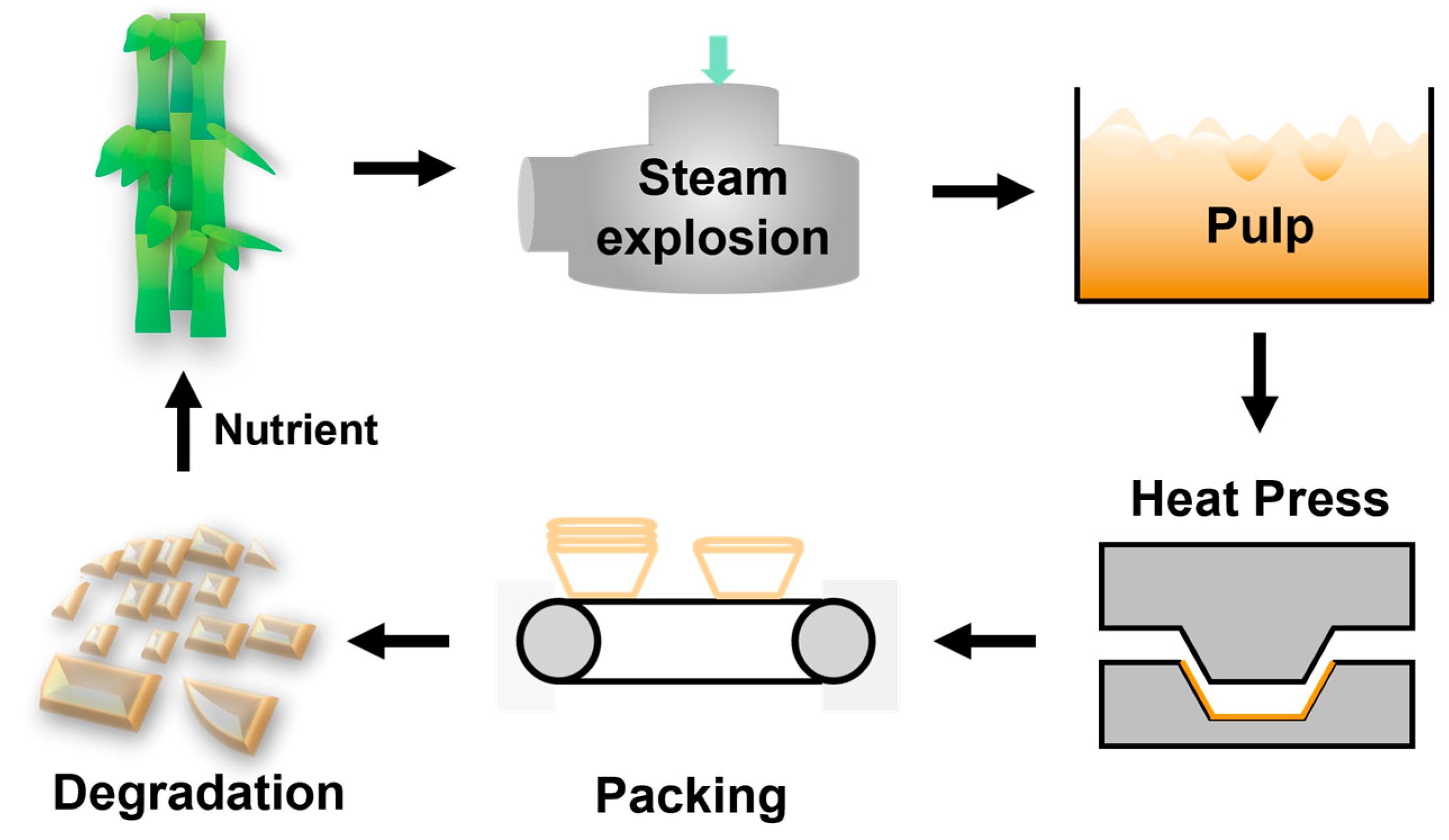 Forests 13 01008 g001