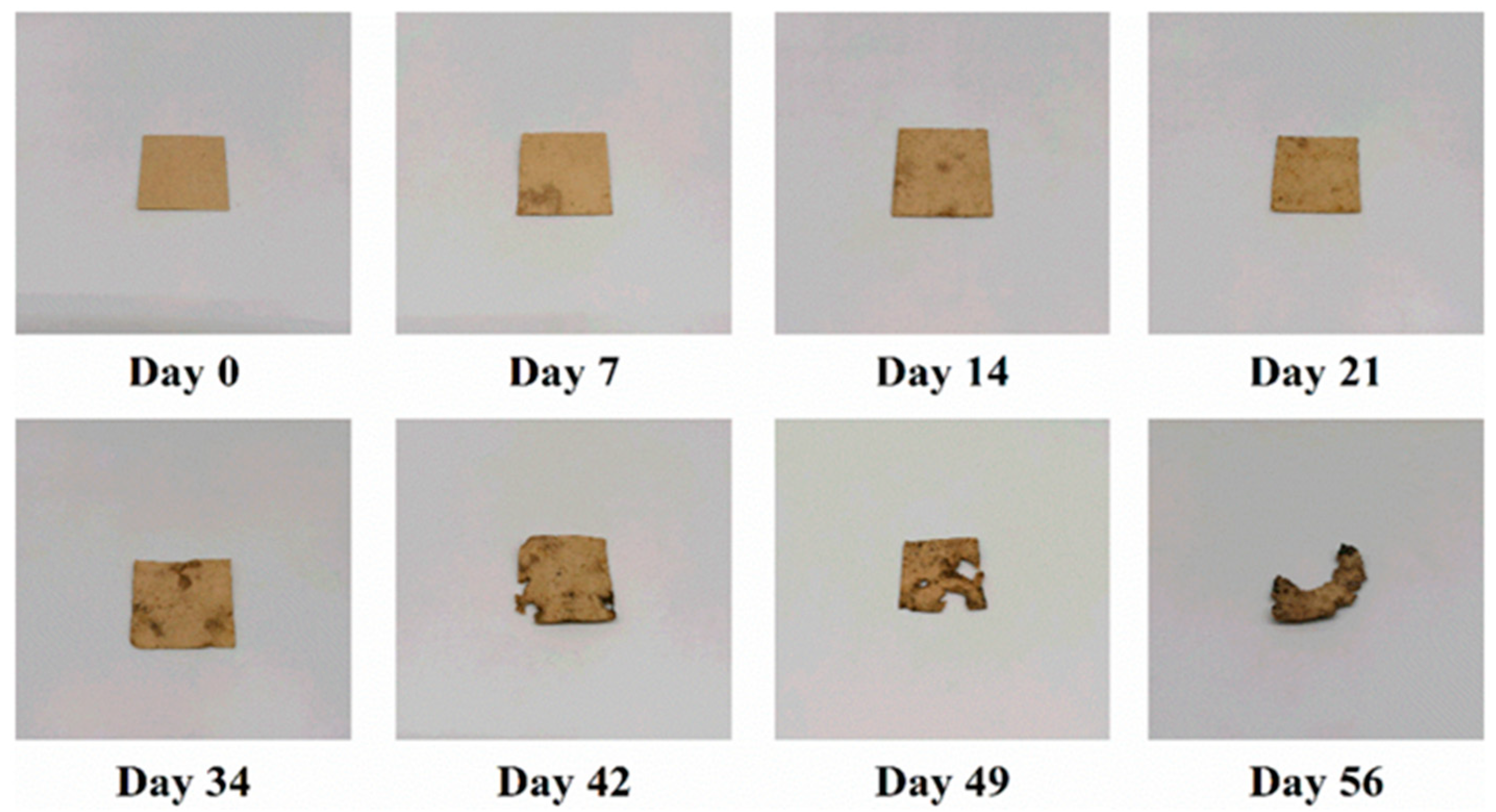 Forests 13 01008 g003