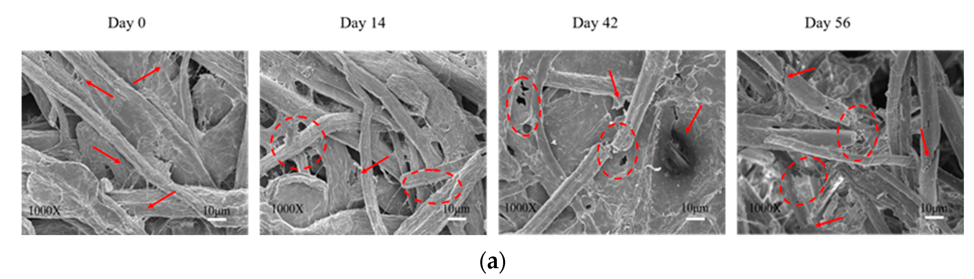 Forests 13 01008 g008a