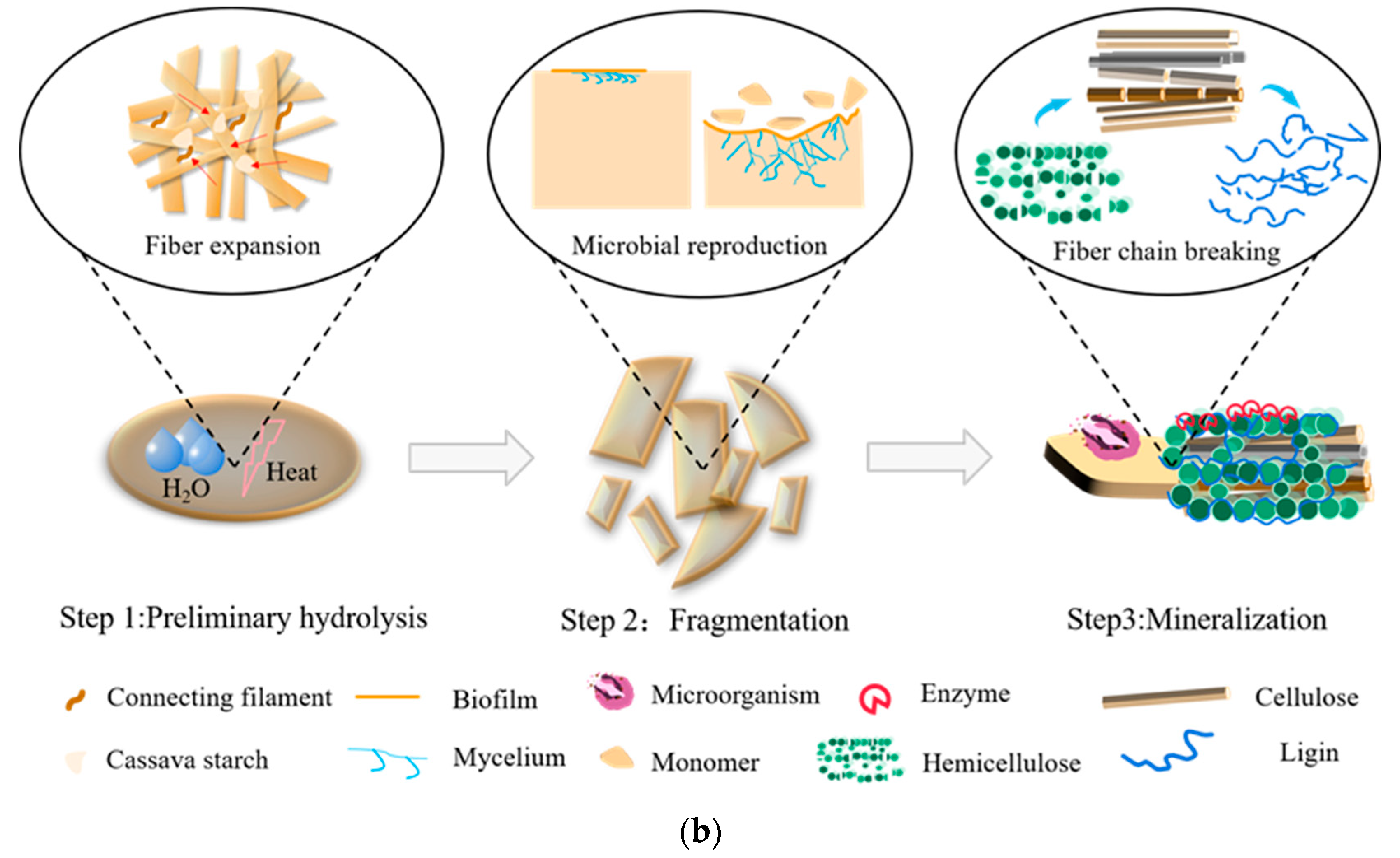 Forests 13 01008 g008b
