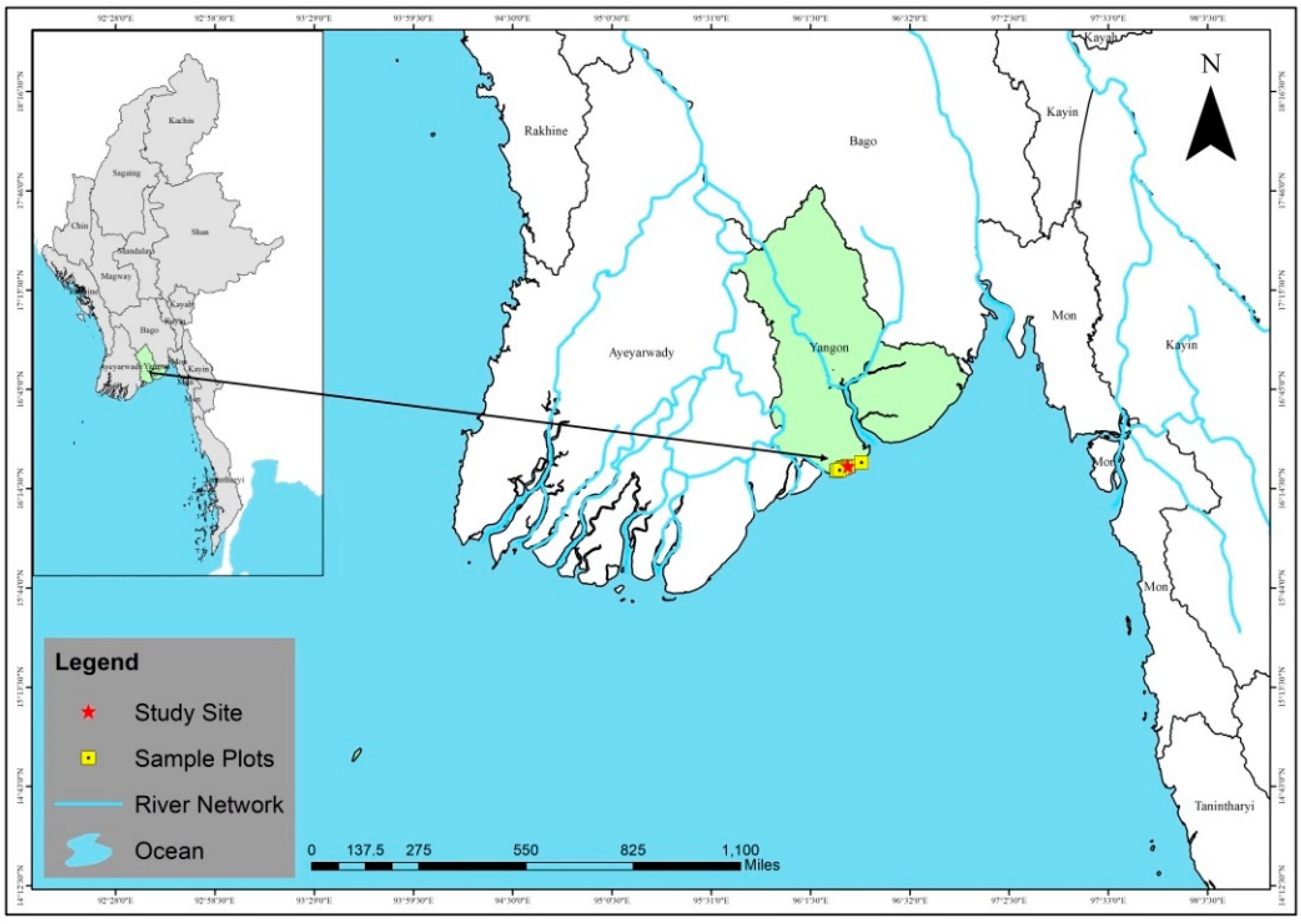 Forests 13 01013 g001