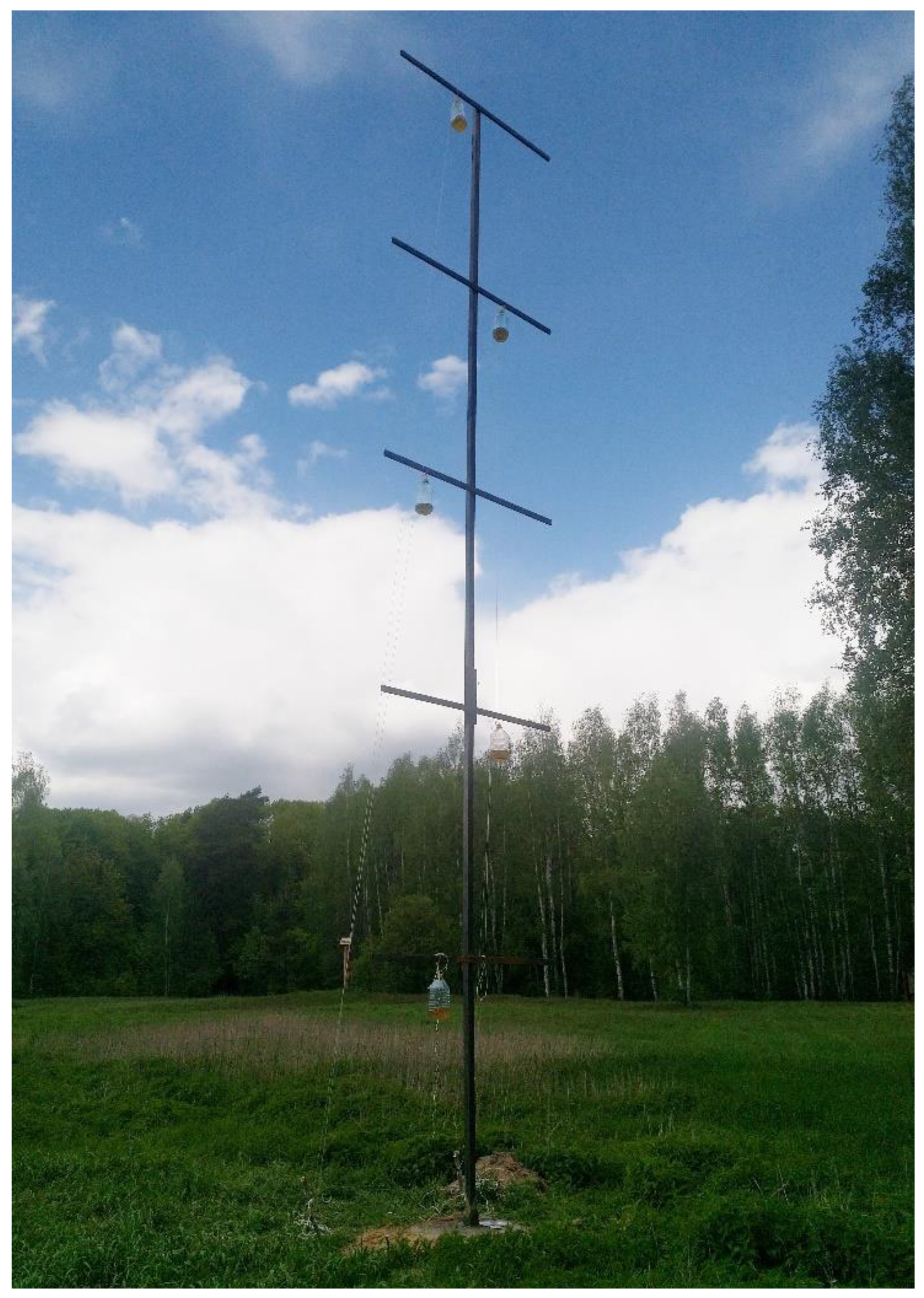 Forests 13 01014 g001