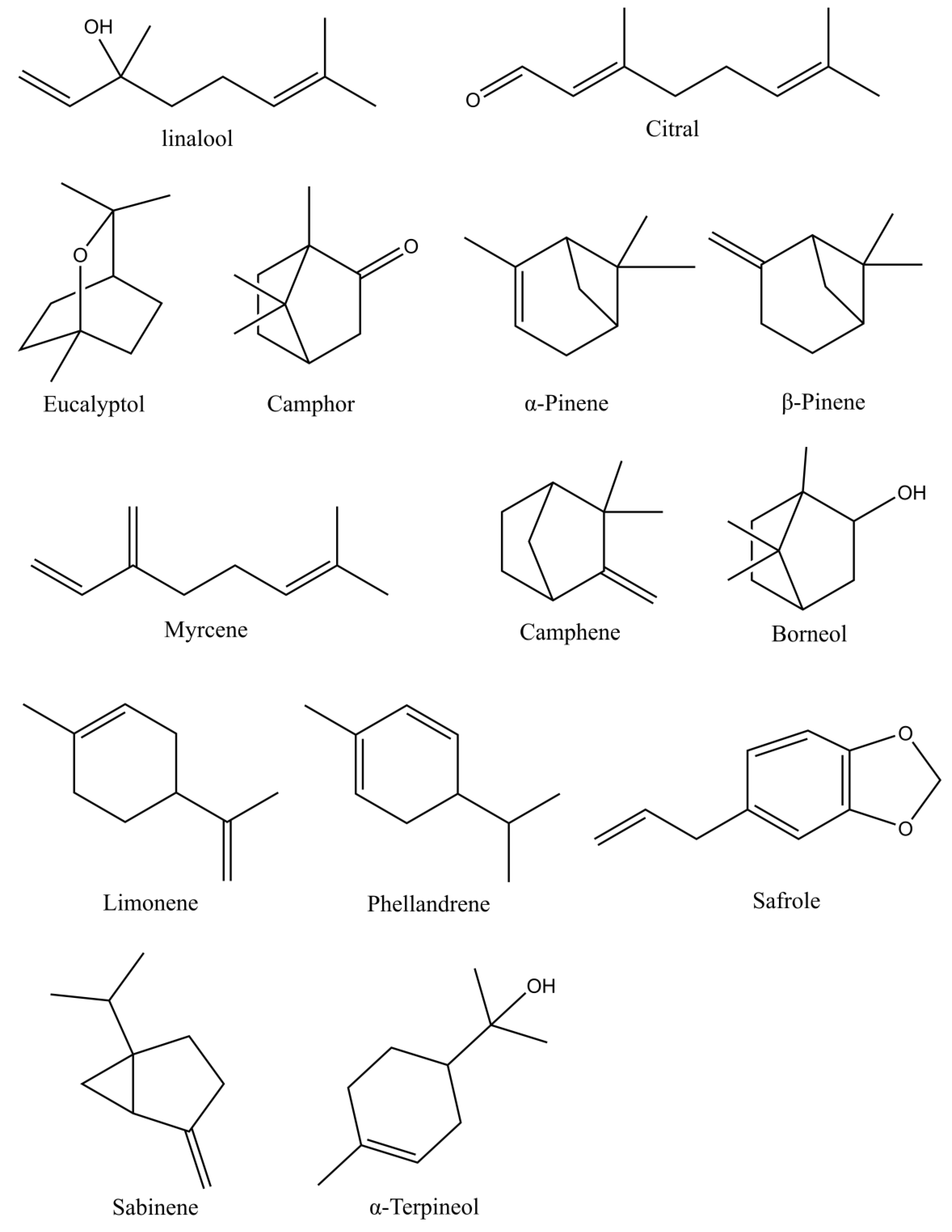 Forests 13 01020 g001