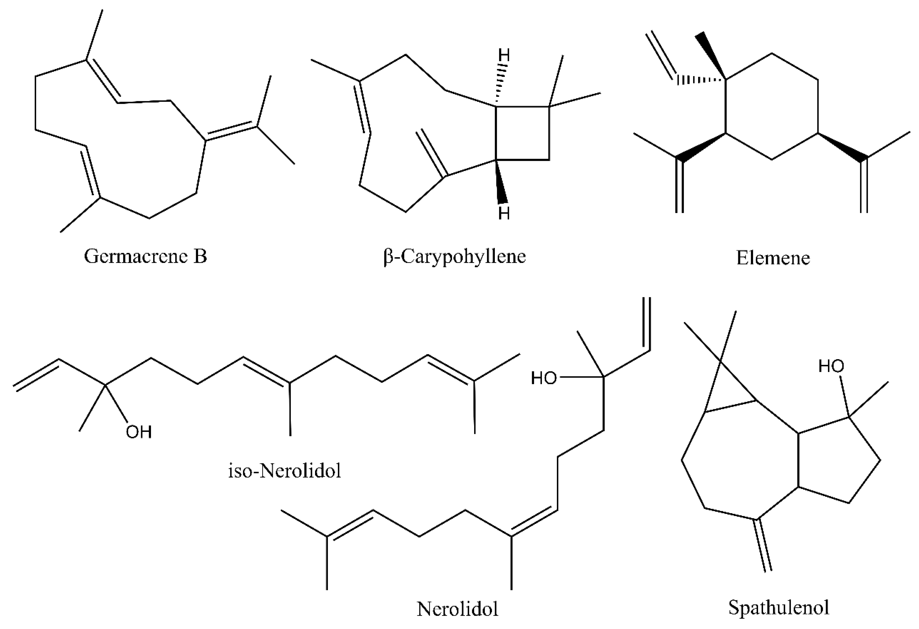 Forests 13 01020 g002