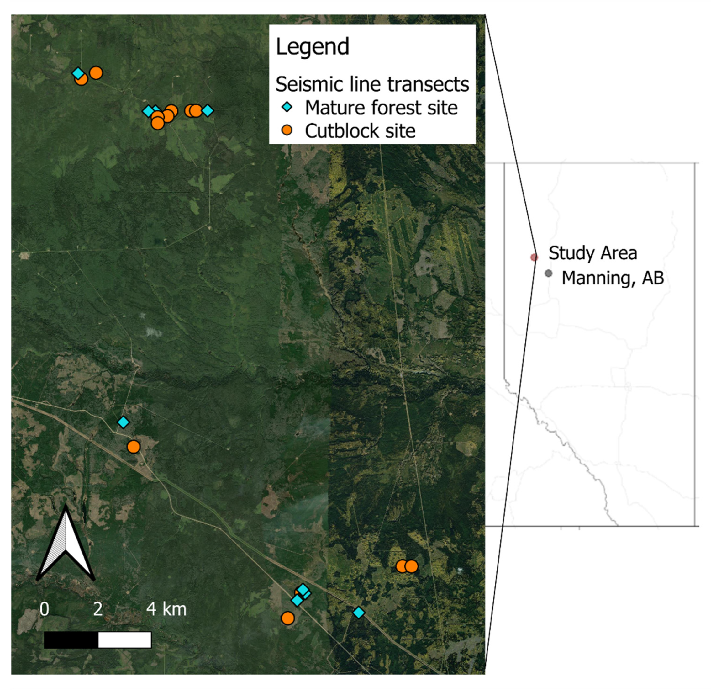 Forests 13 01022 g001