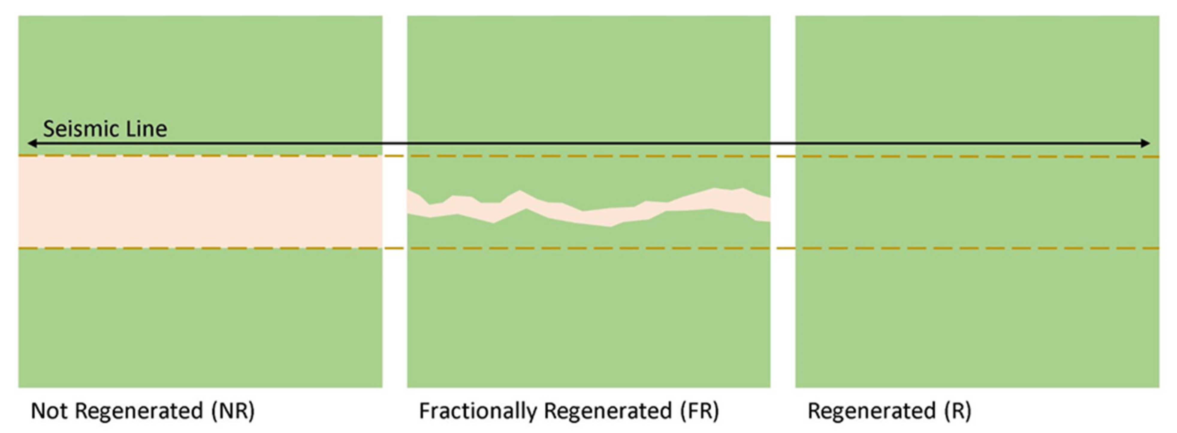 Forests 13 01022 g002