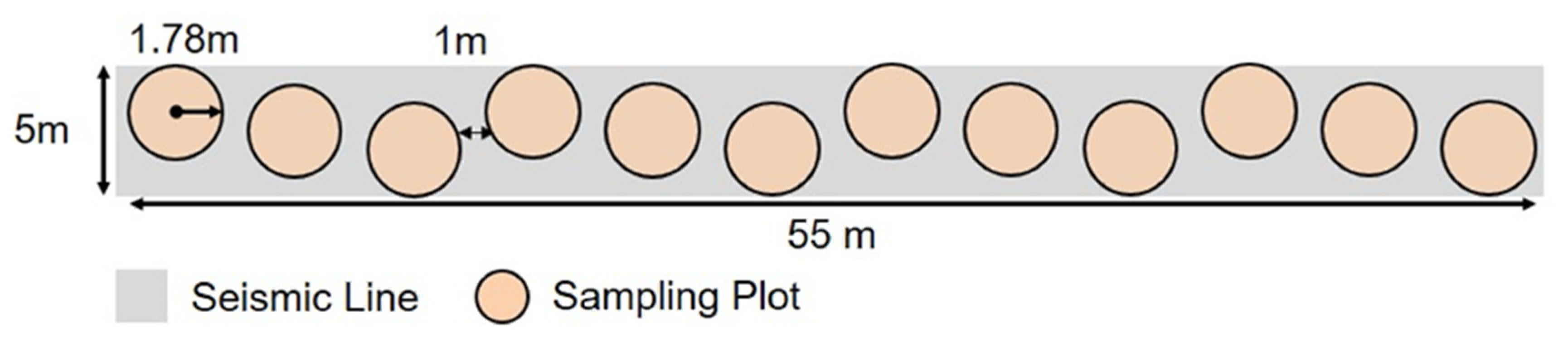 Forests 13 01022 g004
