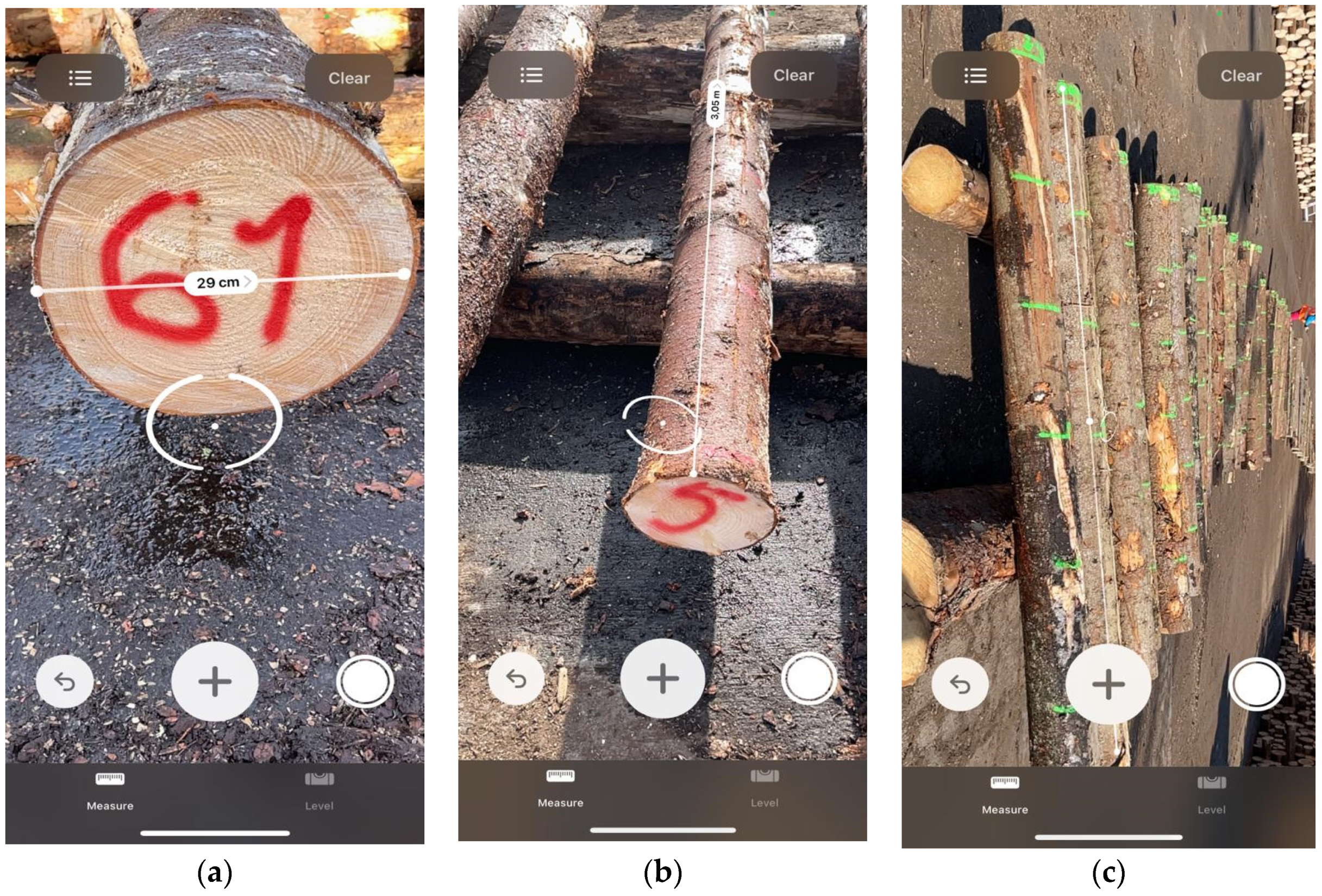 Forests 13 01028 g002
