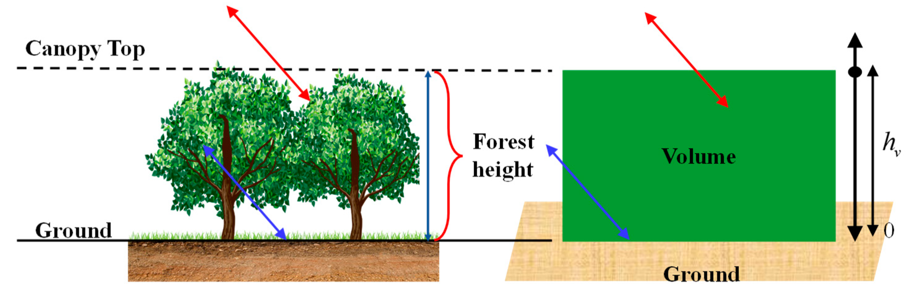 Forests 13 01031 g001