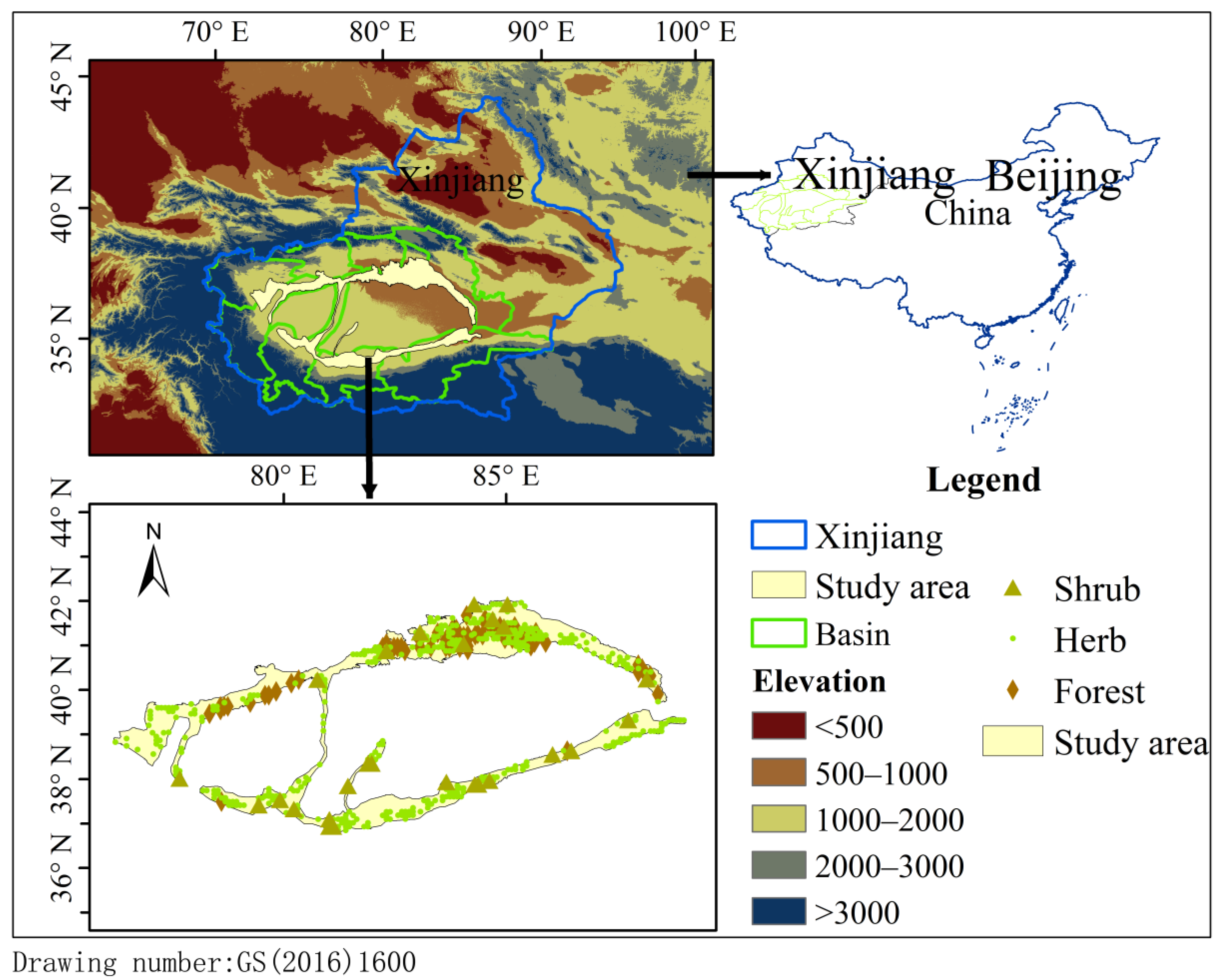 Forests 13 01032 g001