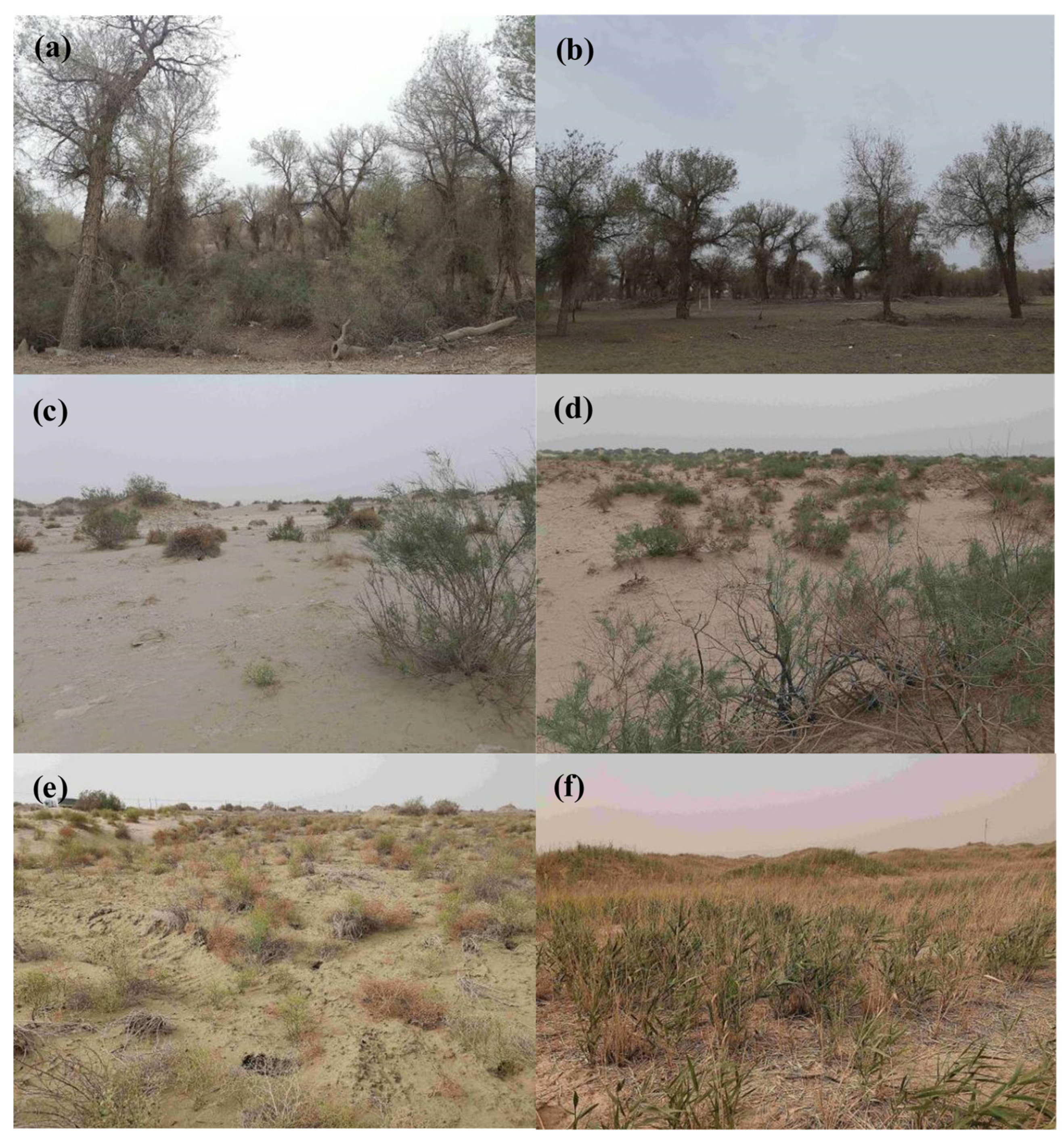 Forests 13 01032 g002