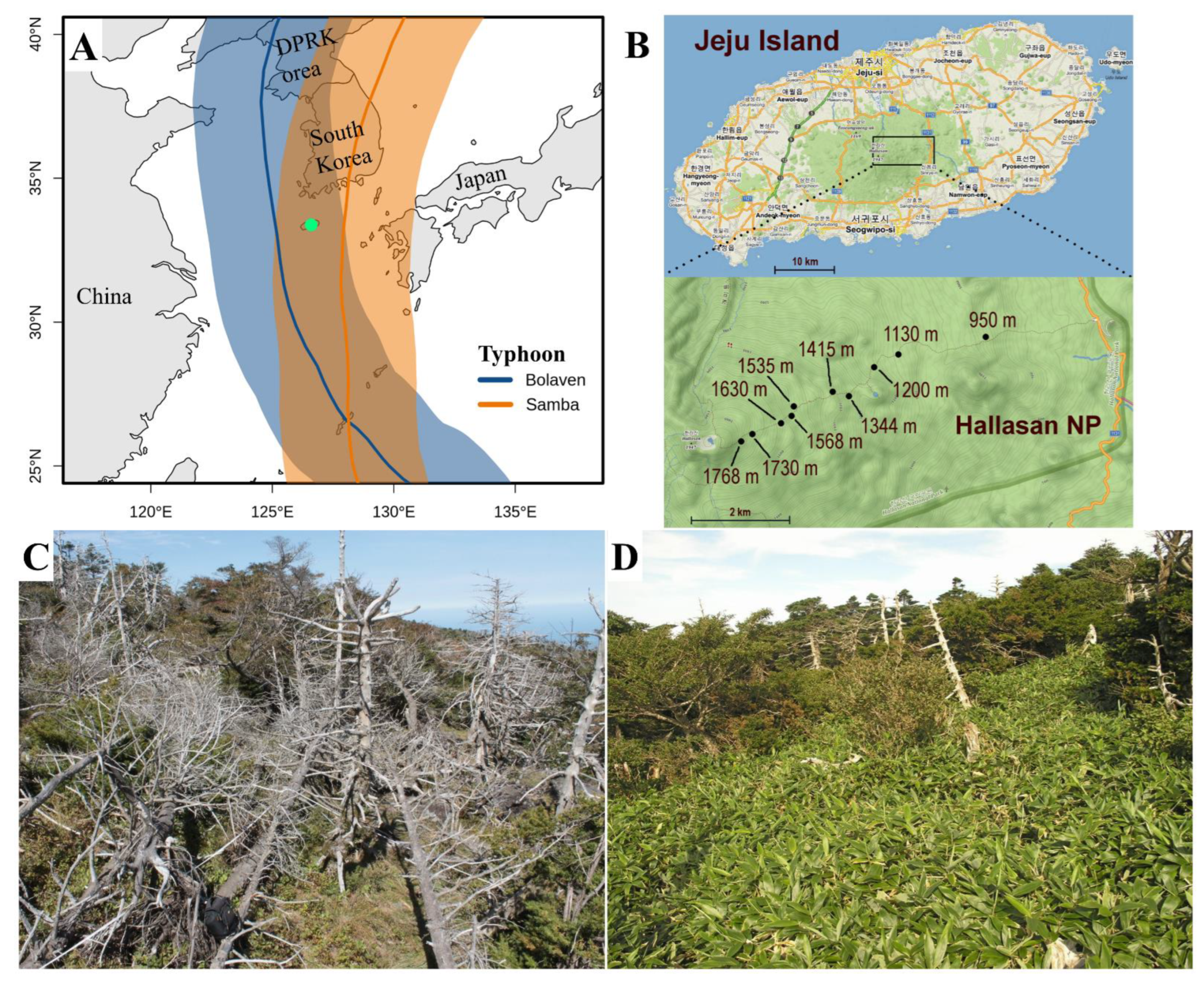 Forests 13 01033 g001