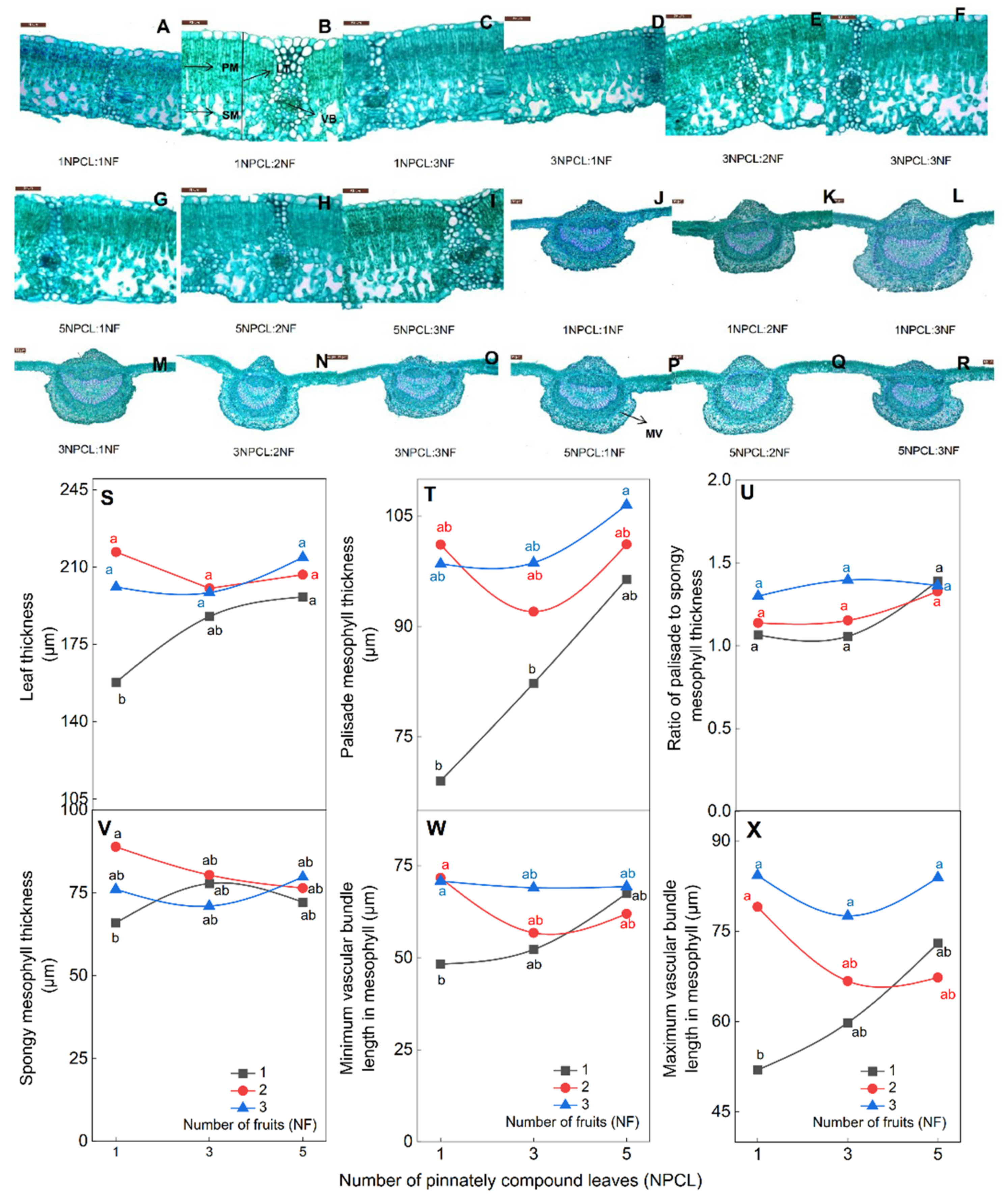 Forests 13 01034 g006