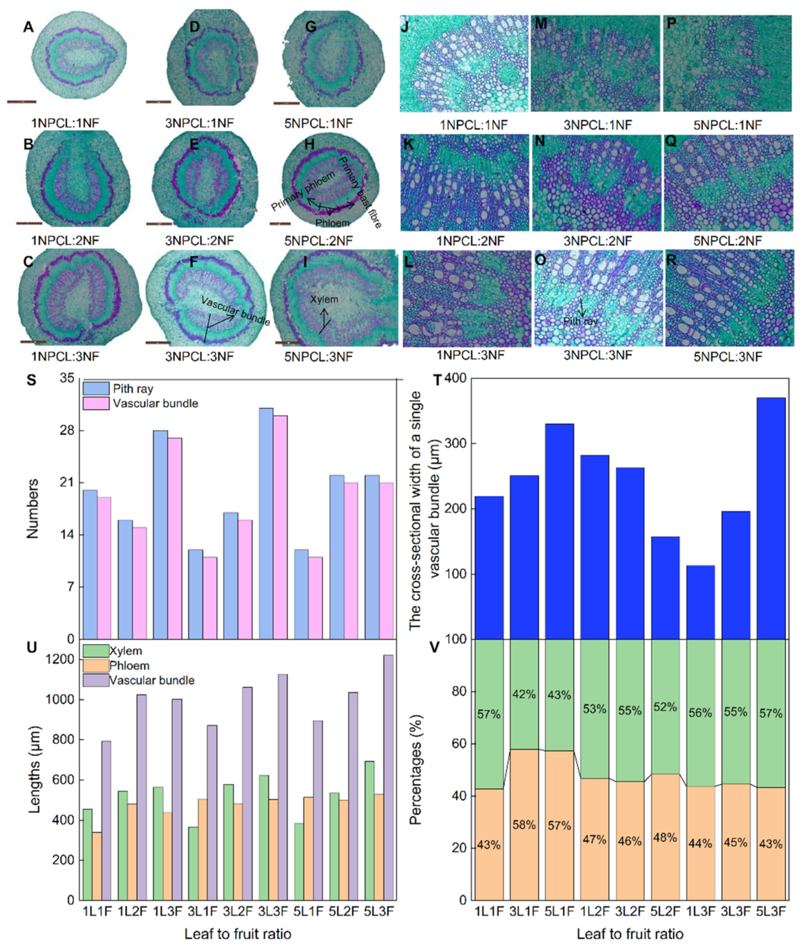 Forests 13 01034 g007