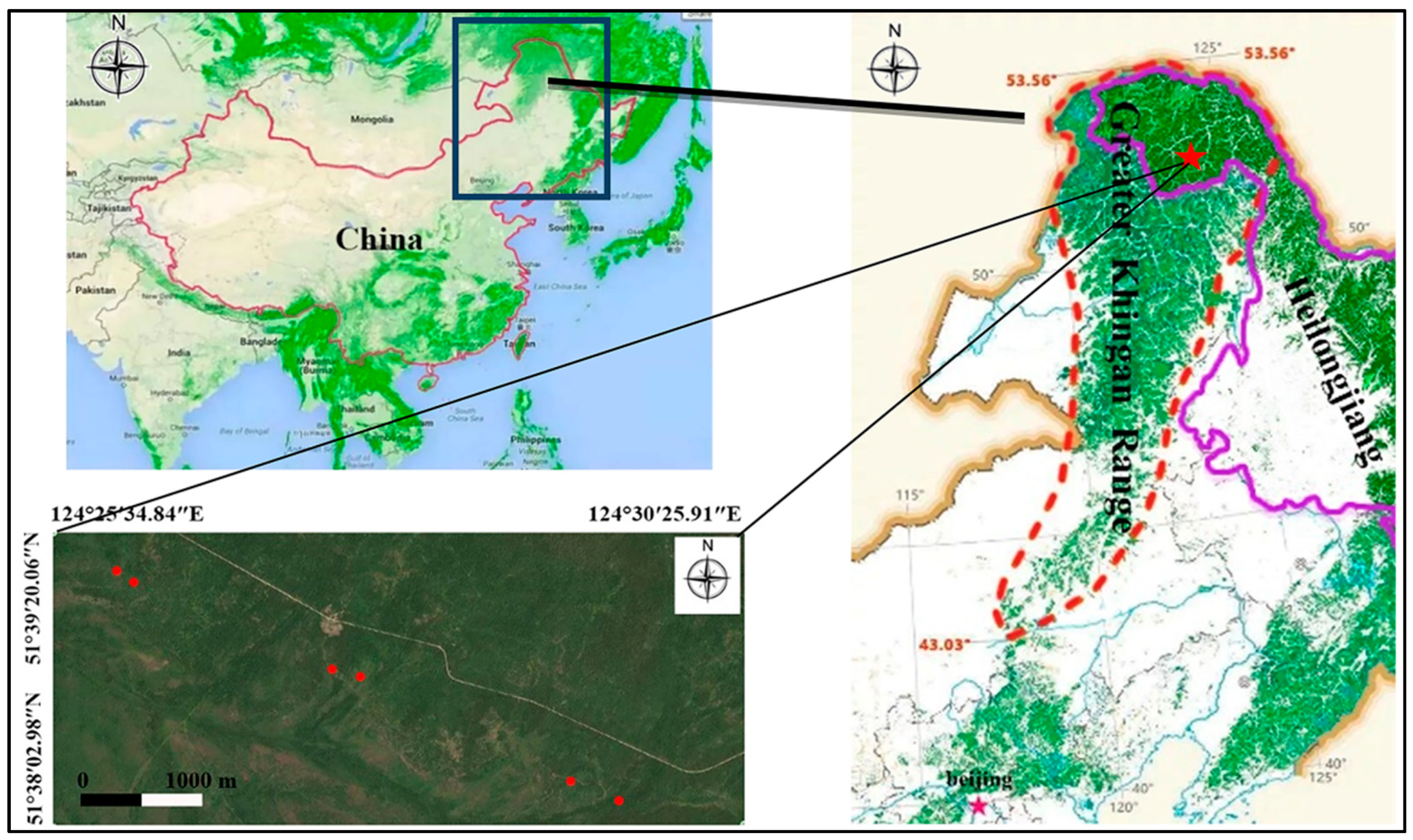 Forests 13 01035 g001