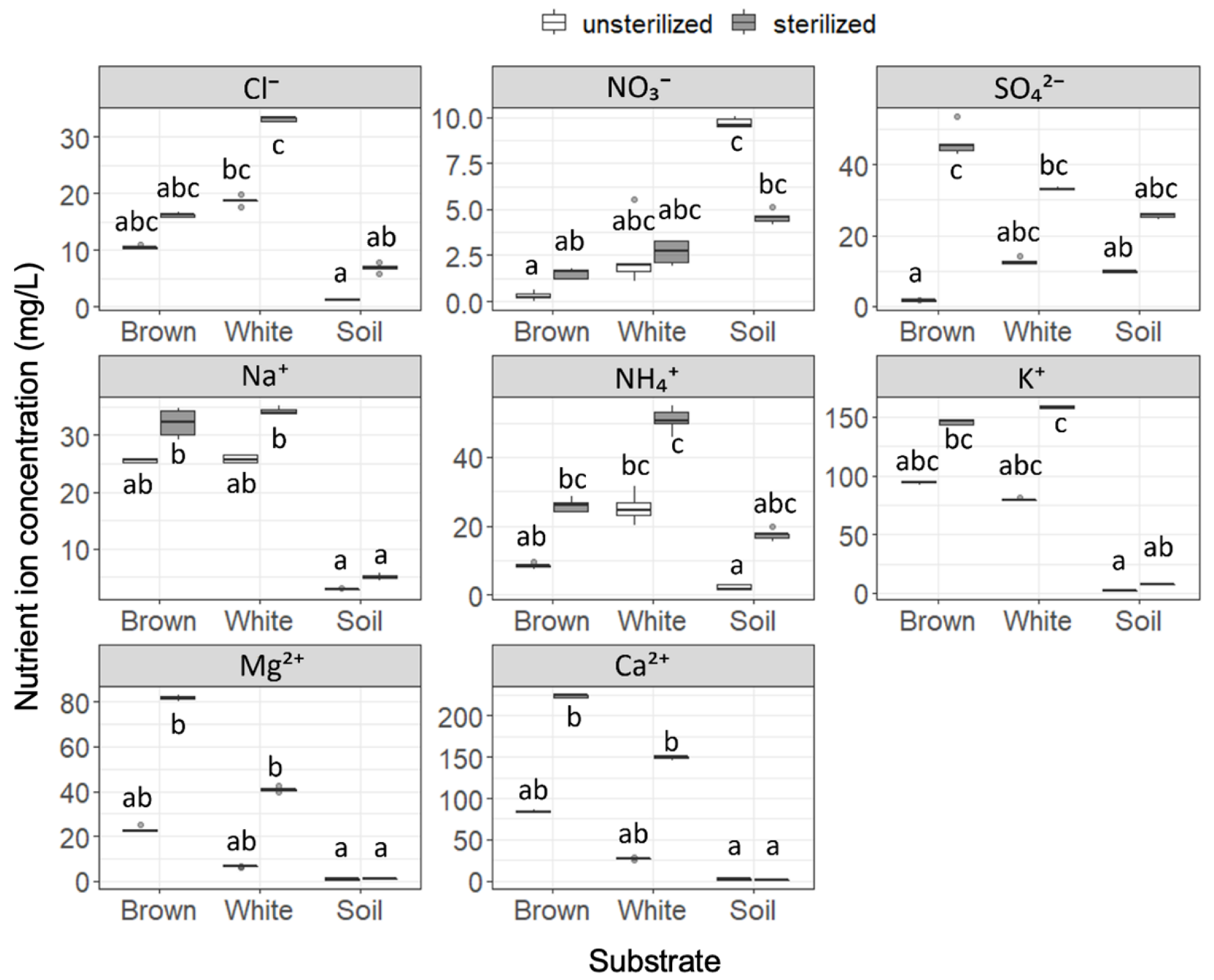Forests 13 01036 g001