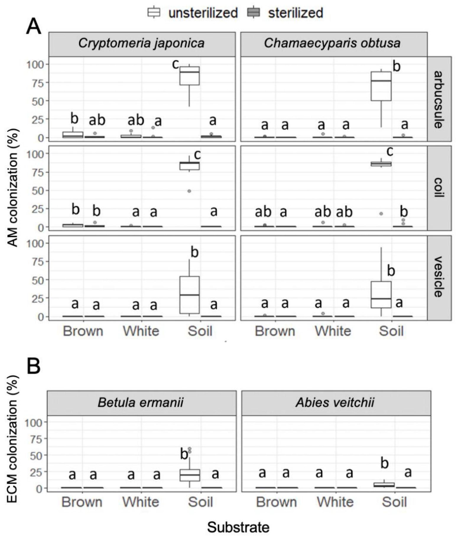 Forests 13 01036 g004