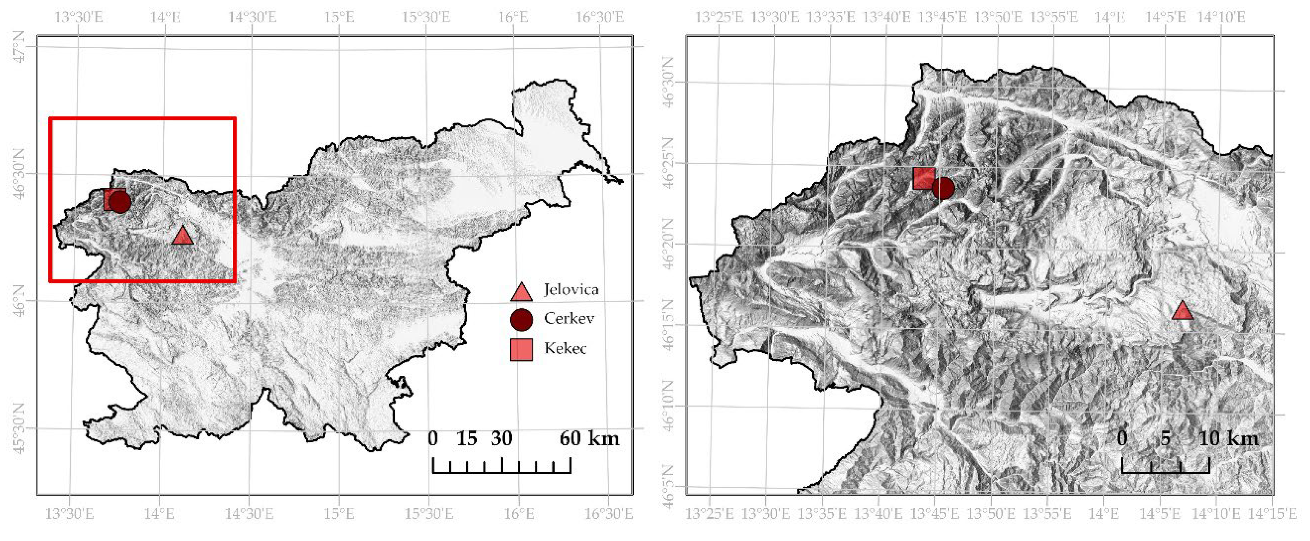 Forests 13 01039 g001