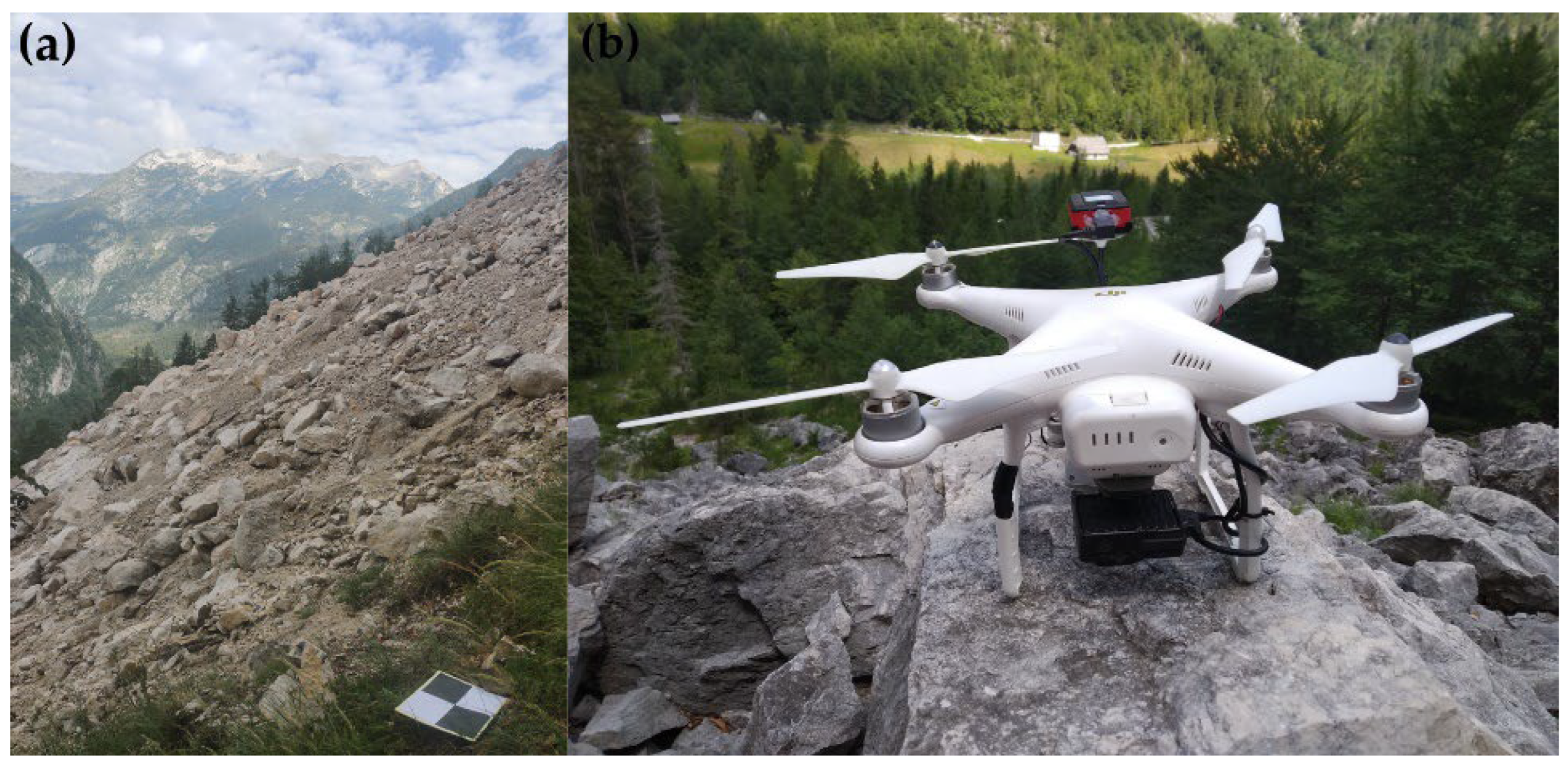 Forests 13 01039 g004