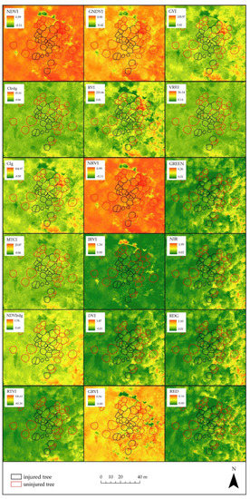 Forests 13 01039 g0a1 550