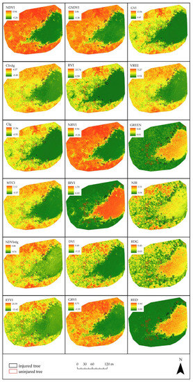Forests 13 01039 g0a2 550