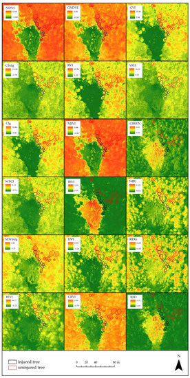 Forests 13 01039 g0a3 550