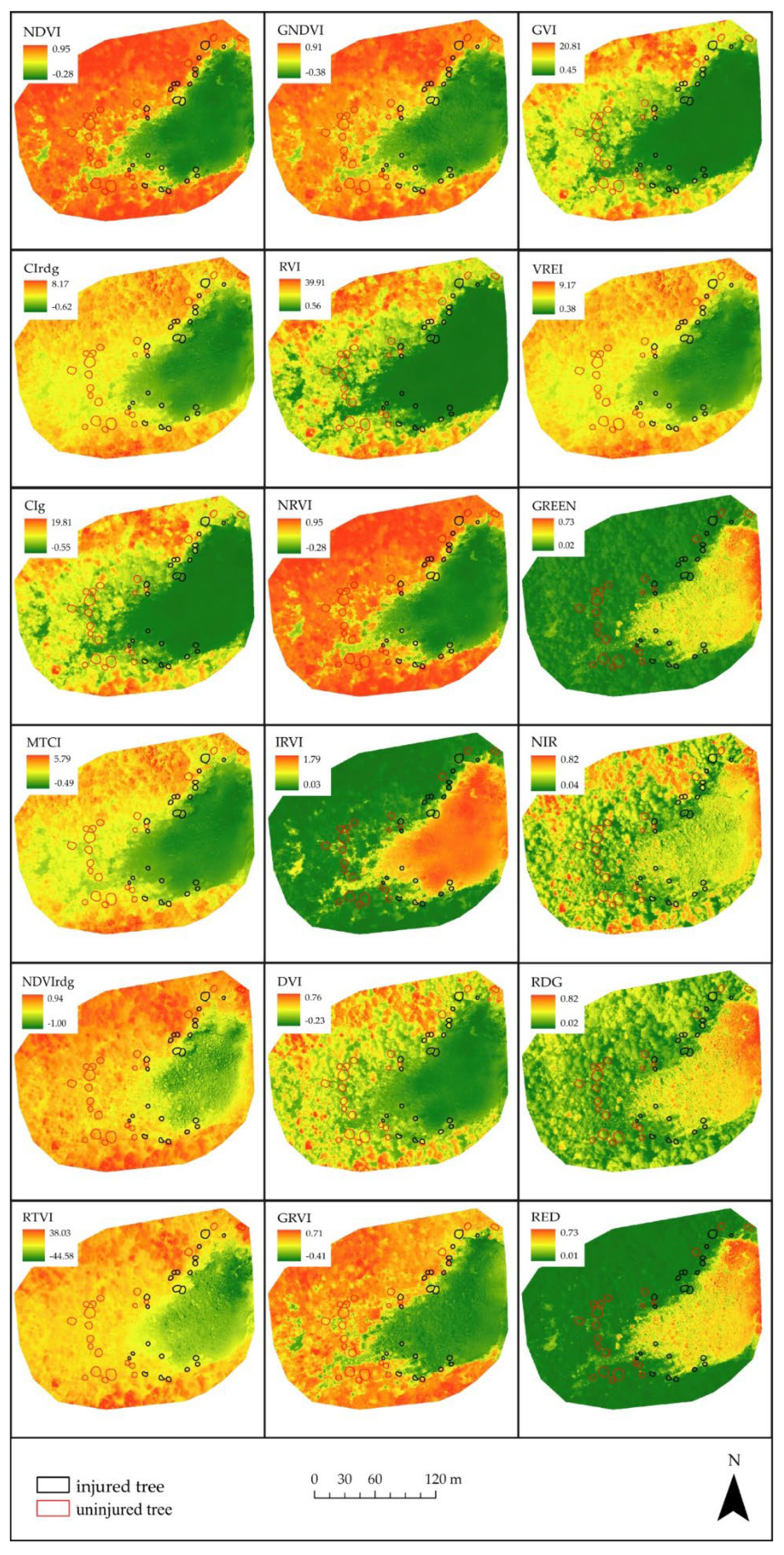 Forests 13 01039 g0a4