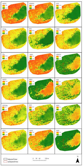 Forests 13 01039 g0a5 550