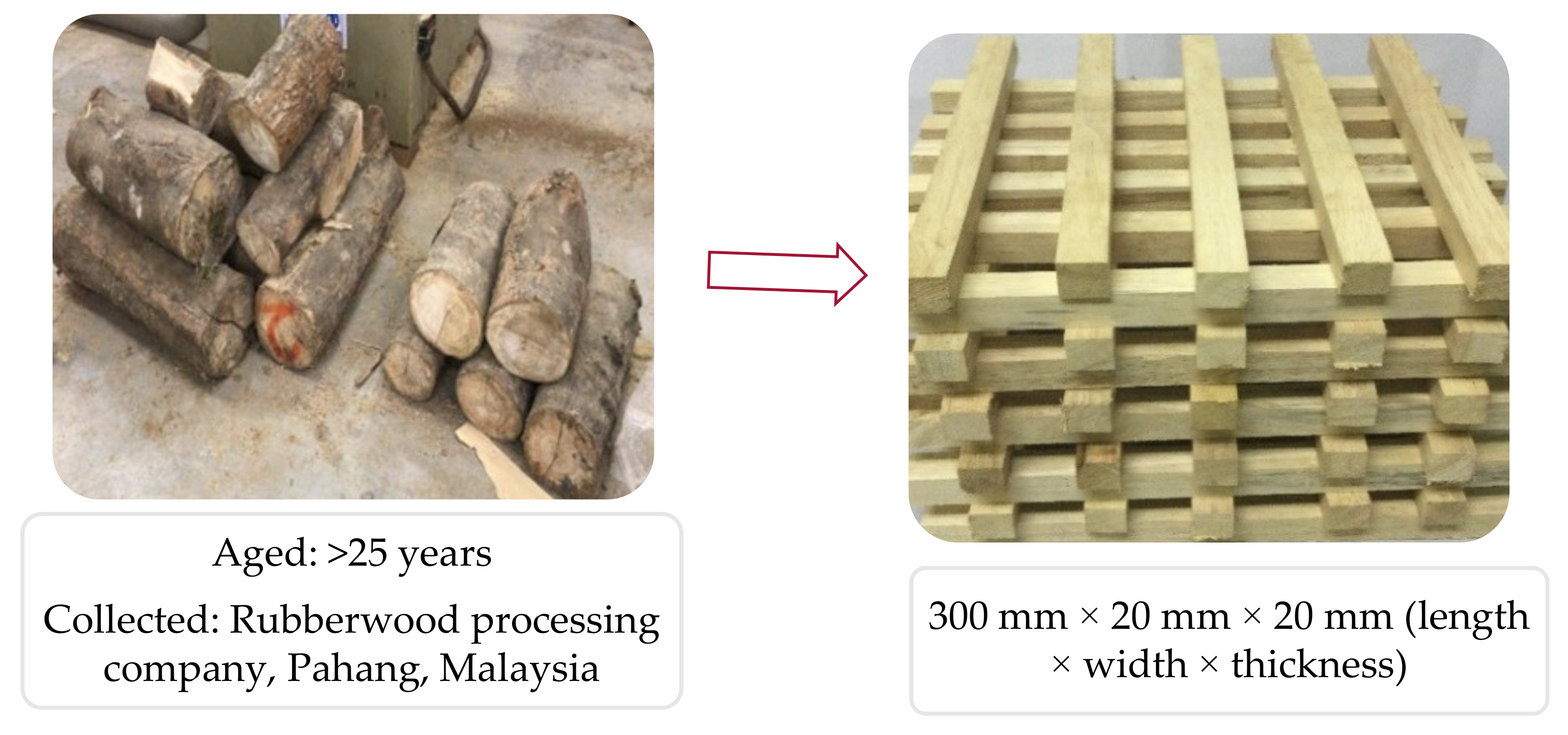 Forests 13 01052 g001 Forests 13 01052 g001