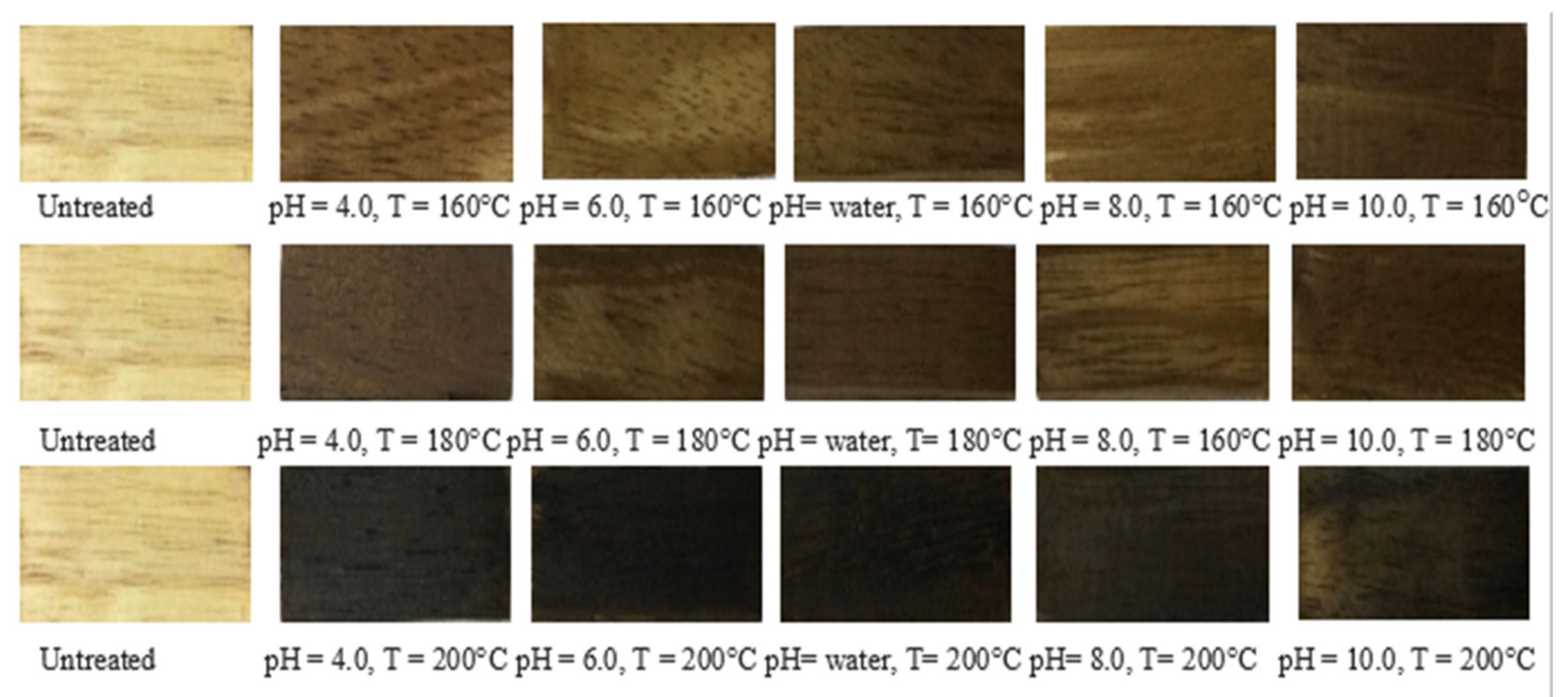 Forests 13 01052 g003 Forests 13 01052 g003