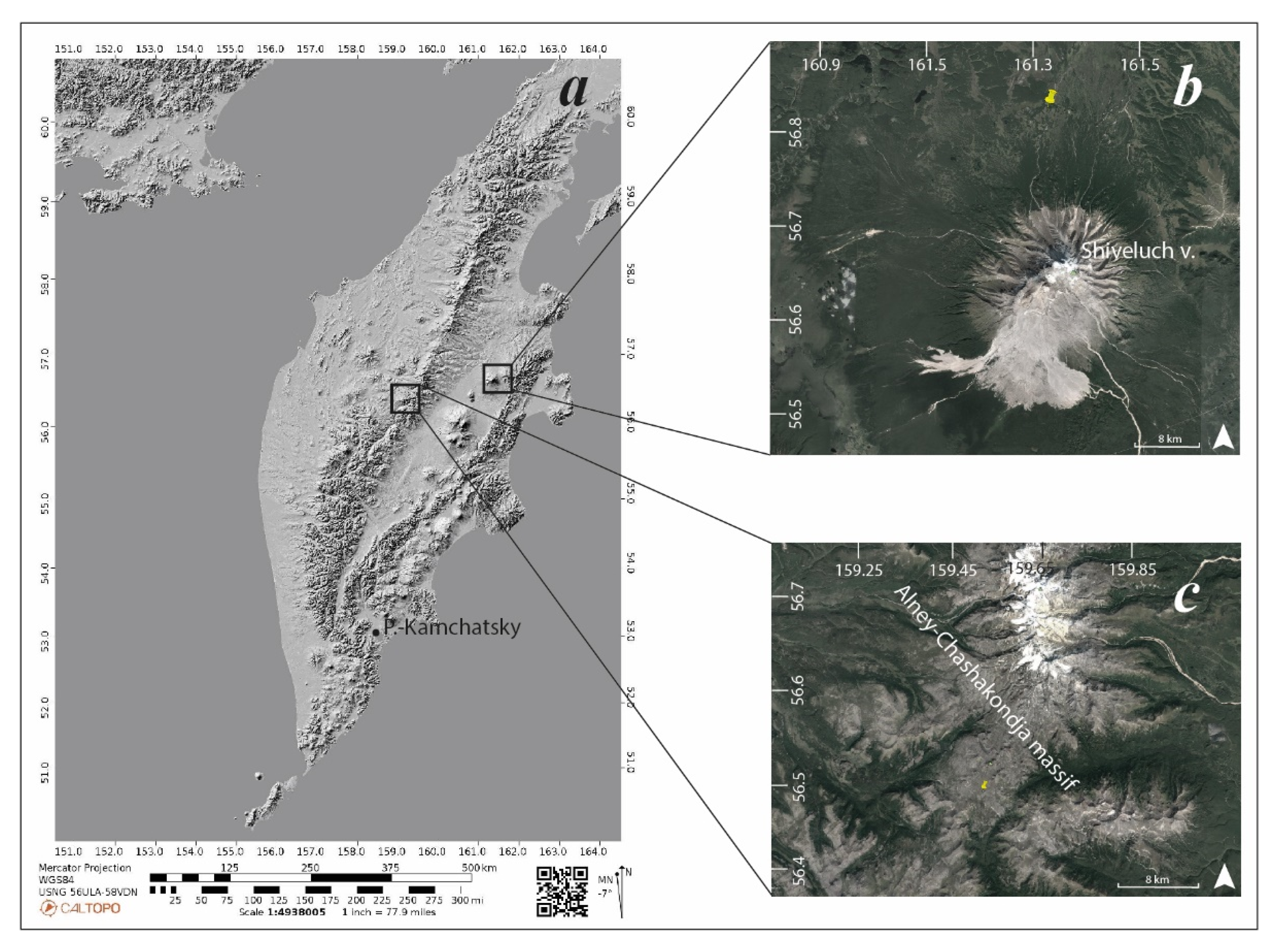 Forests 13 01066 g001