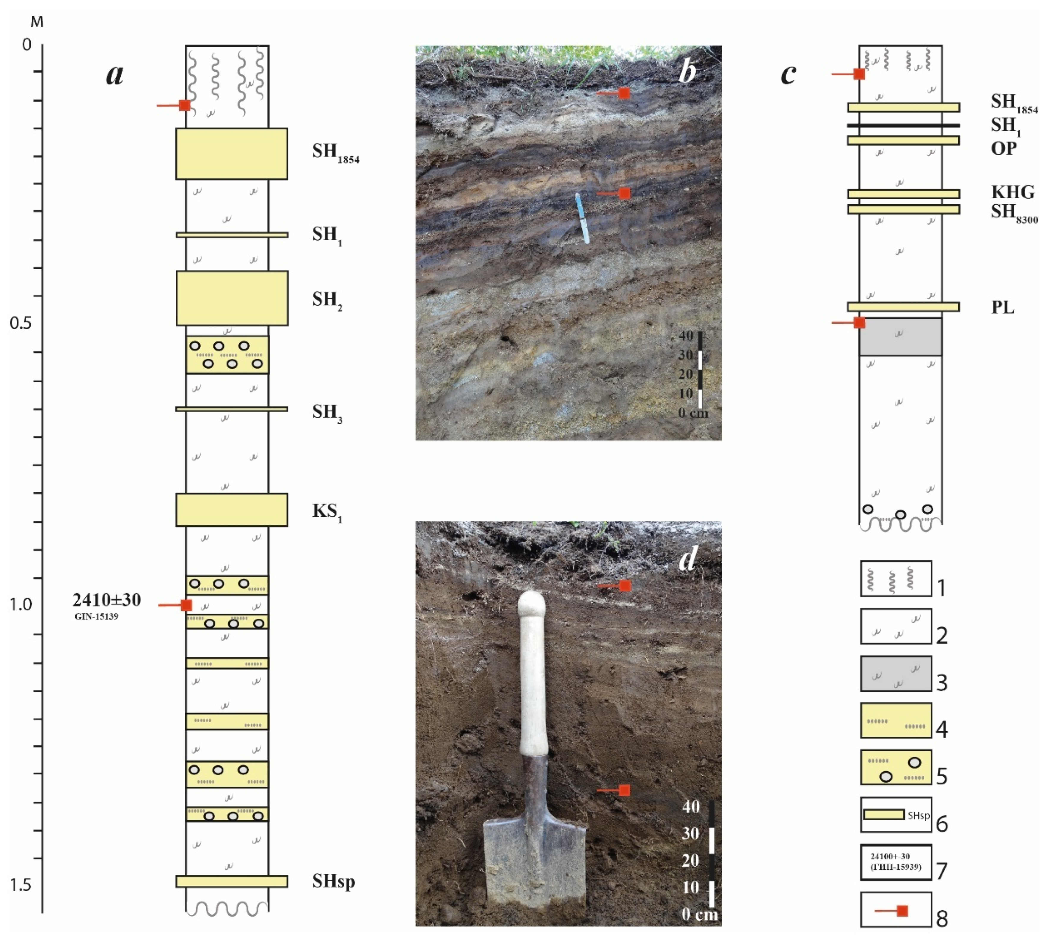 Forests 13 01066 g002