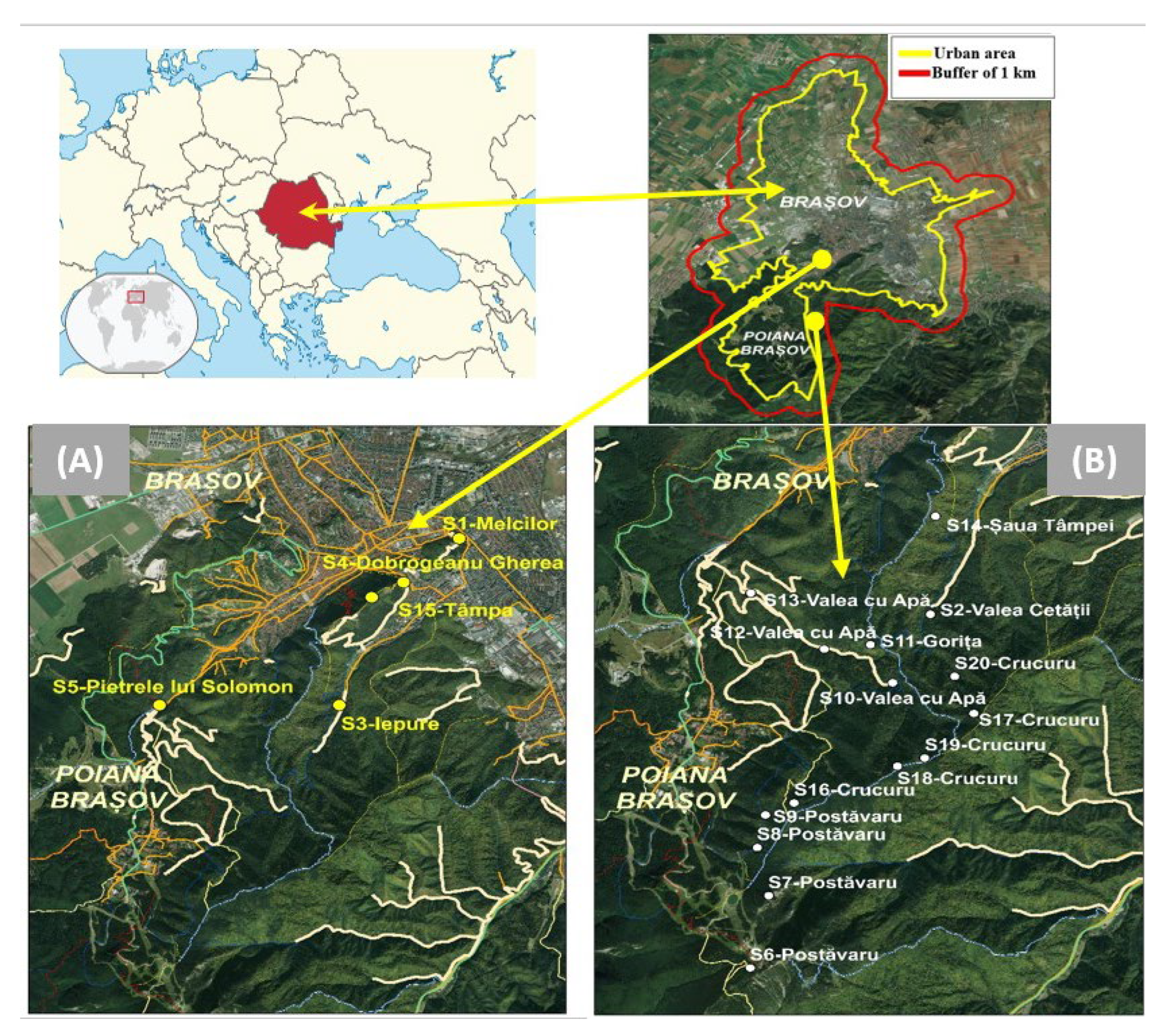 Forests 13 01070 g001