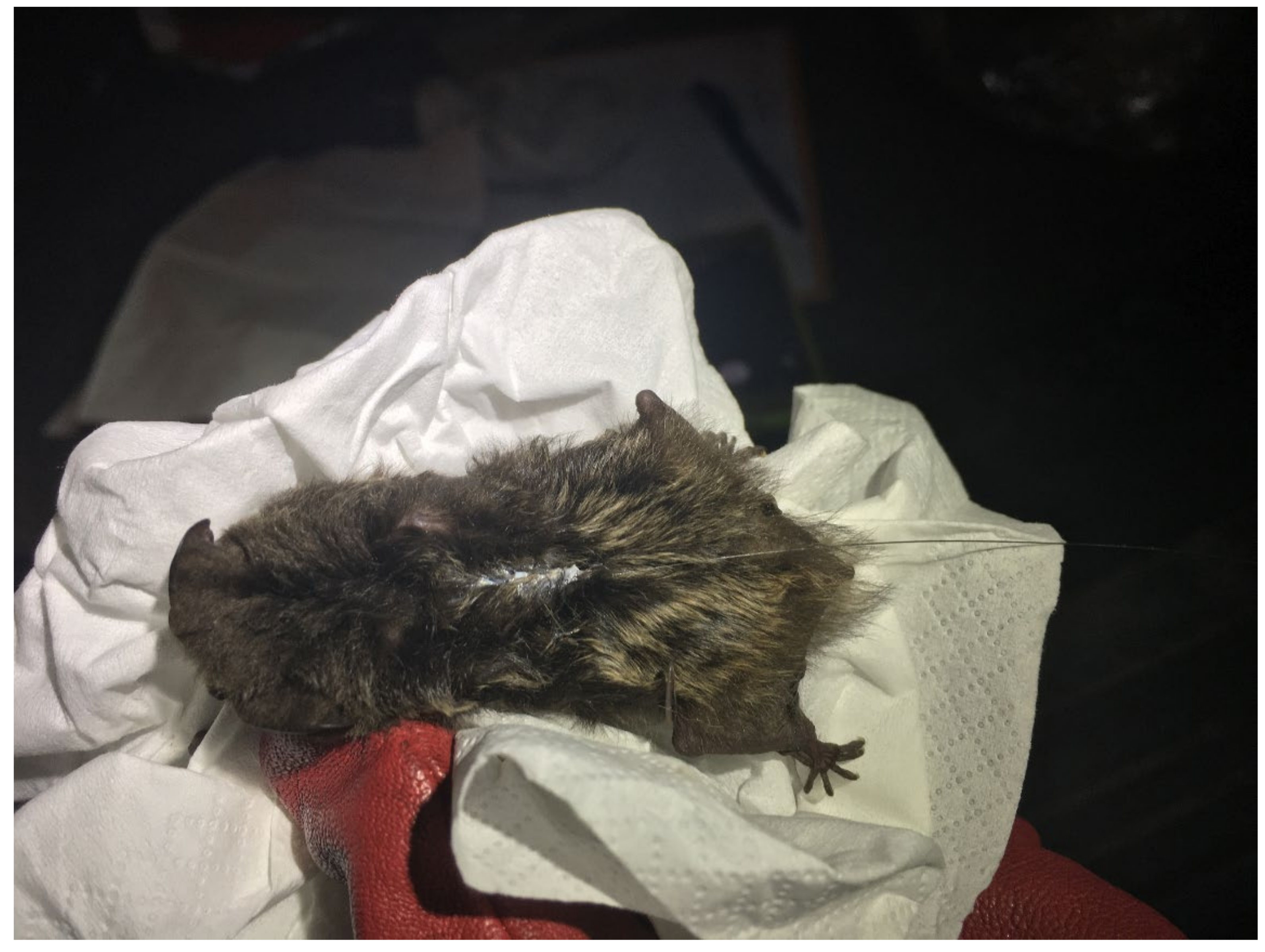 Forests 13 01073 g002