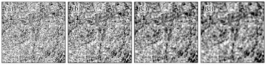 Forests 13 01077 g0a2