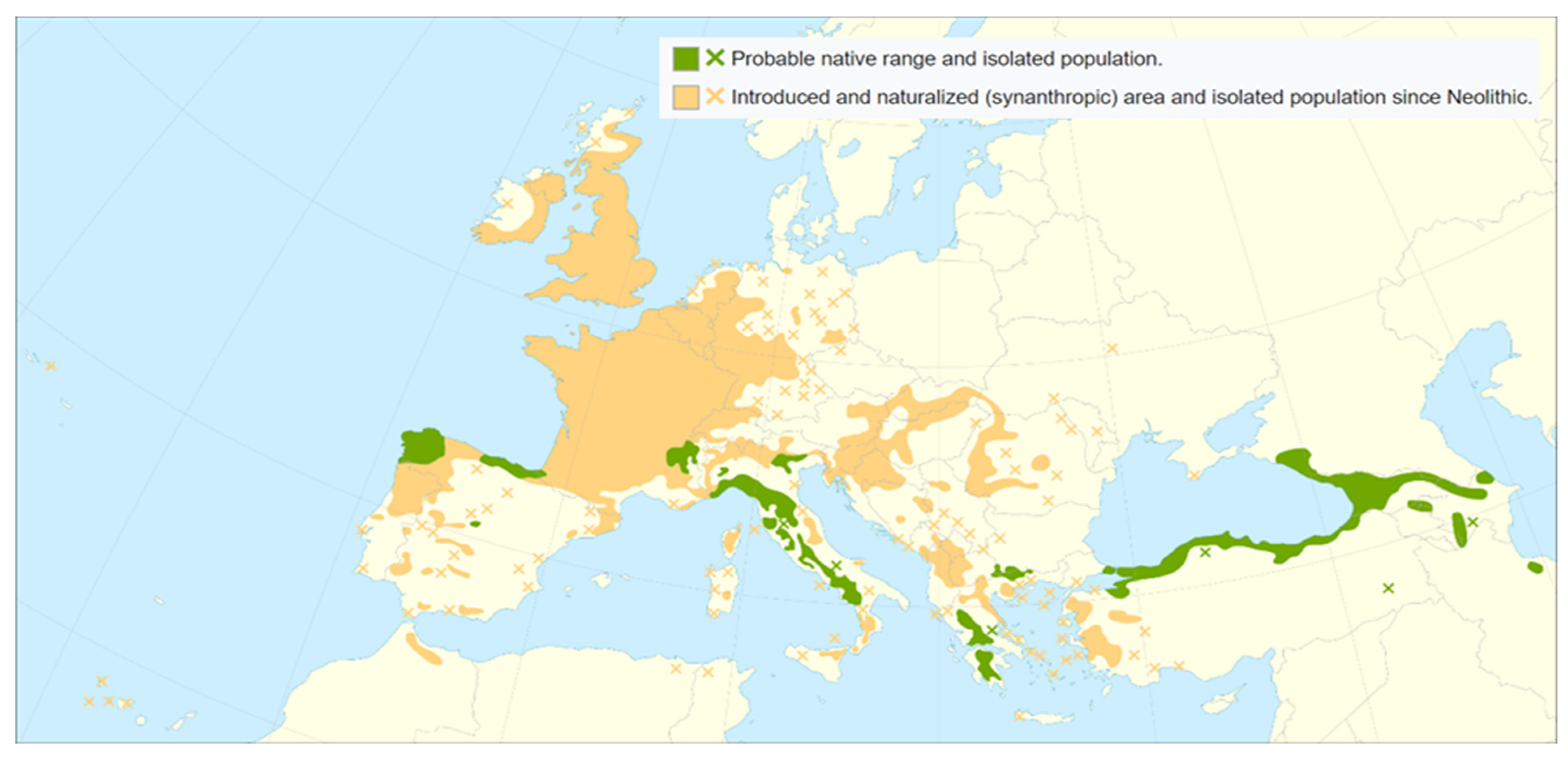Forests 13 01078 g002