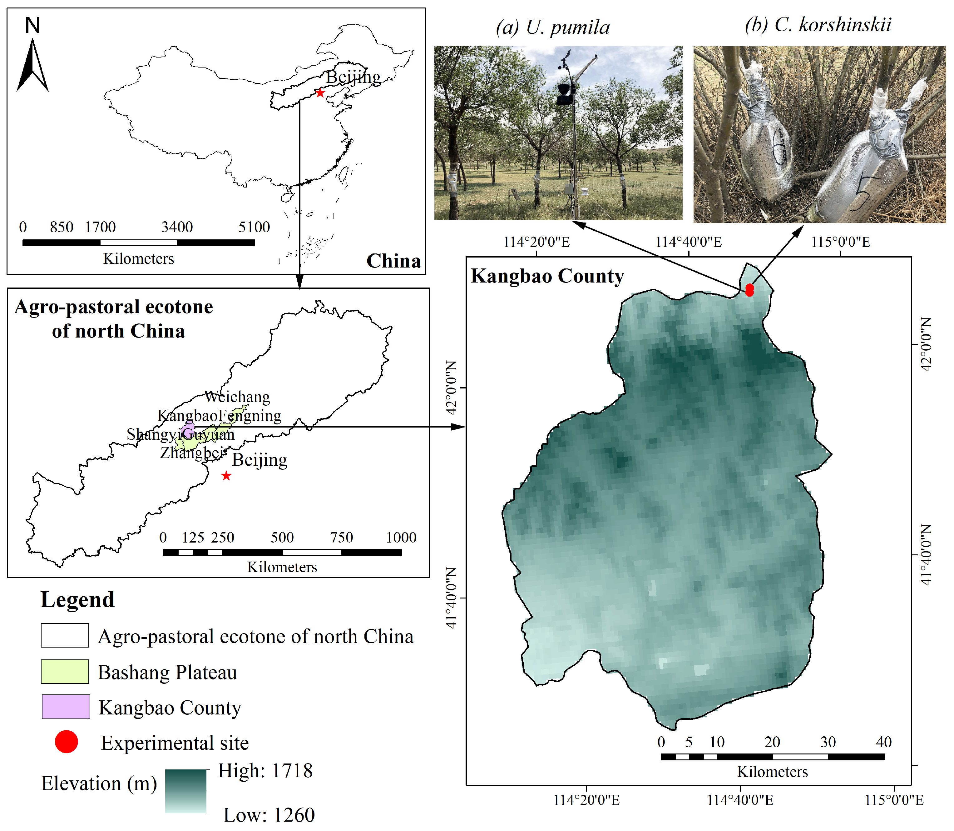 Forests 13 01081 g001