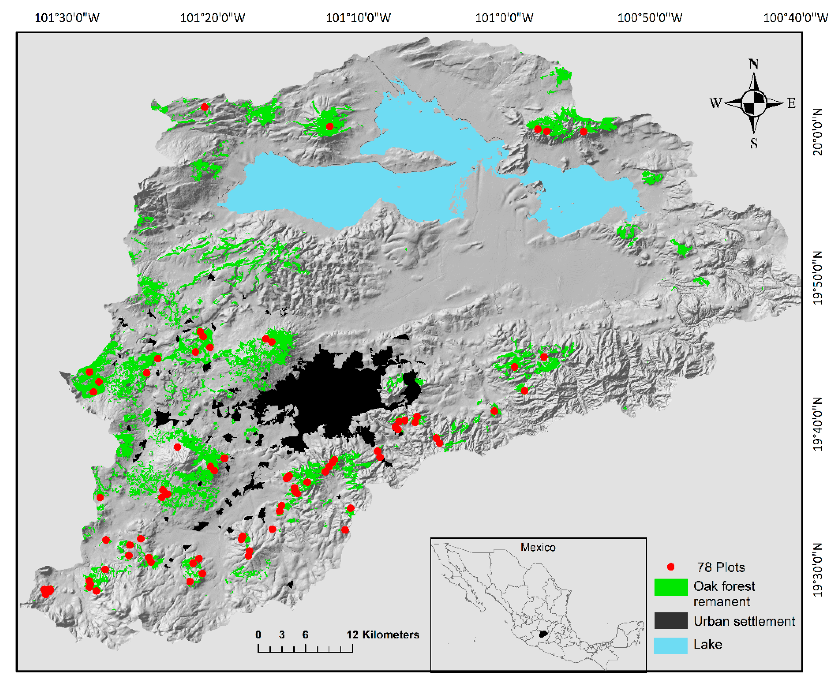 Forests 13 01085 g001