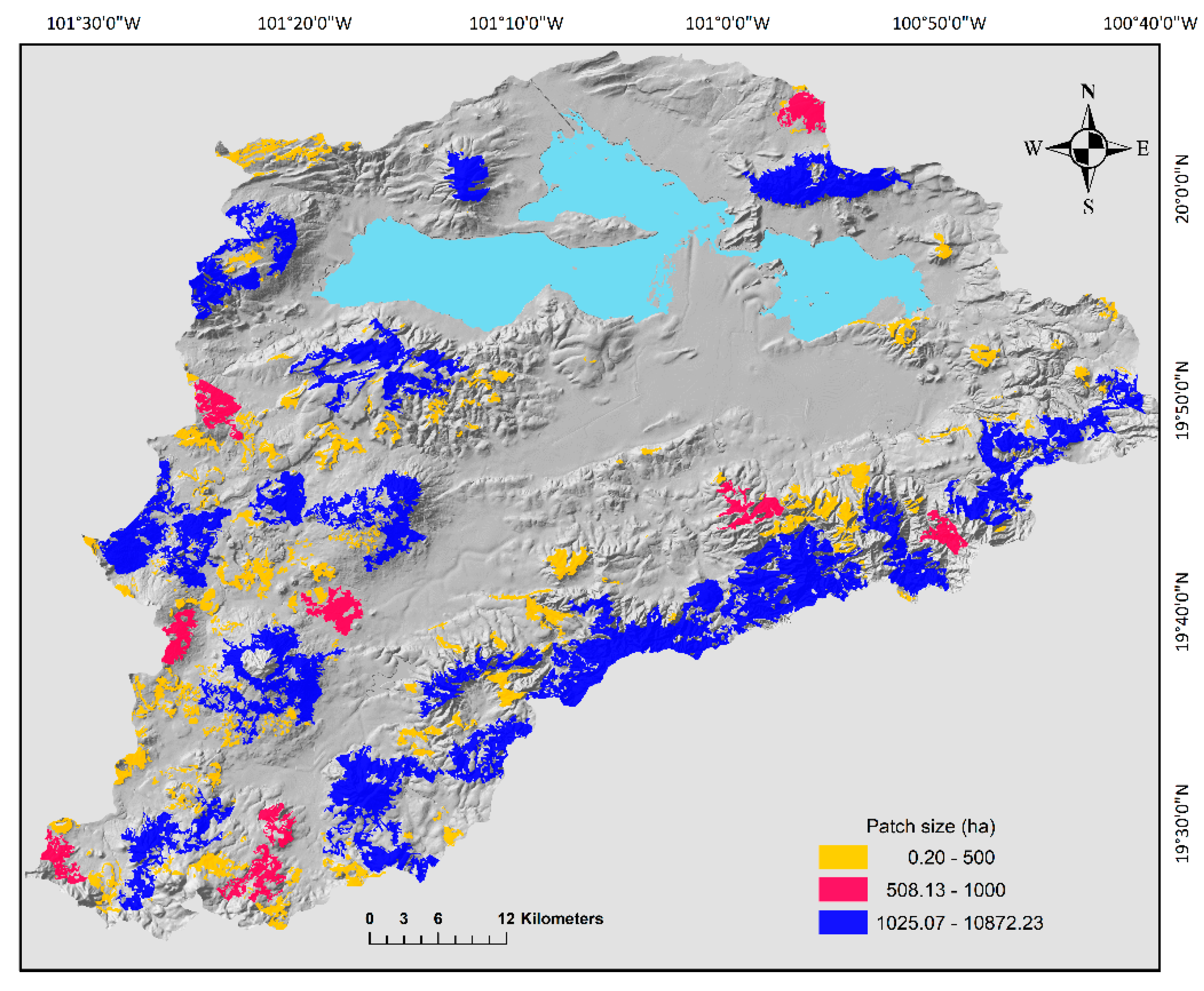 Forests 13 01085 g002