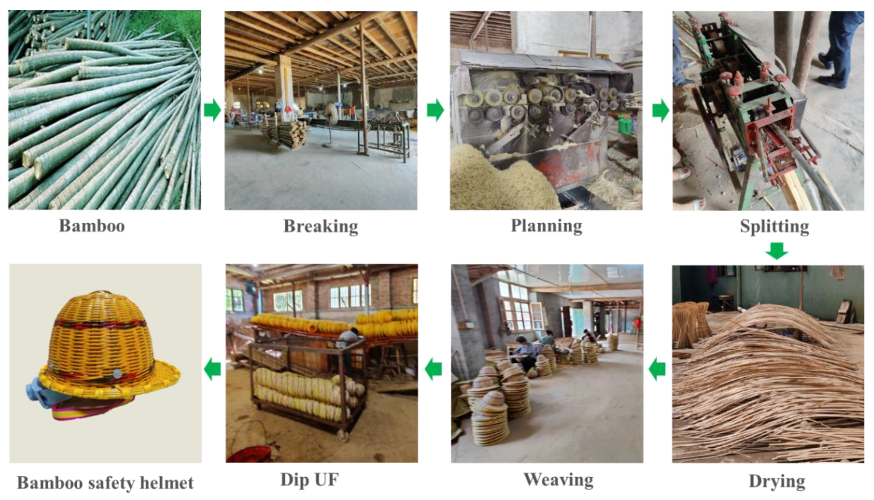 Forests 13 01091 g002