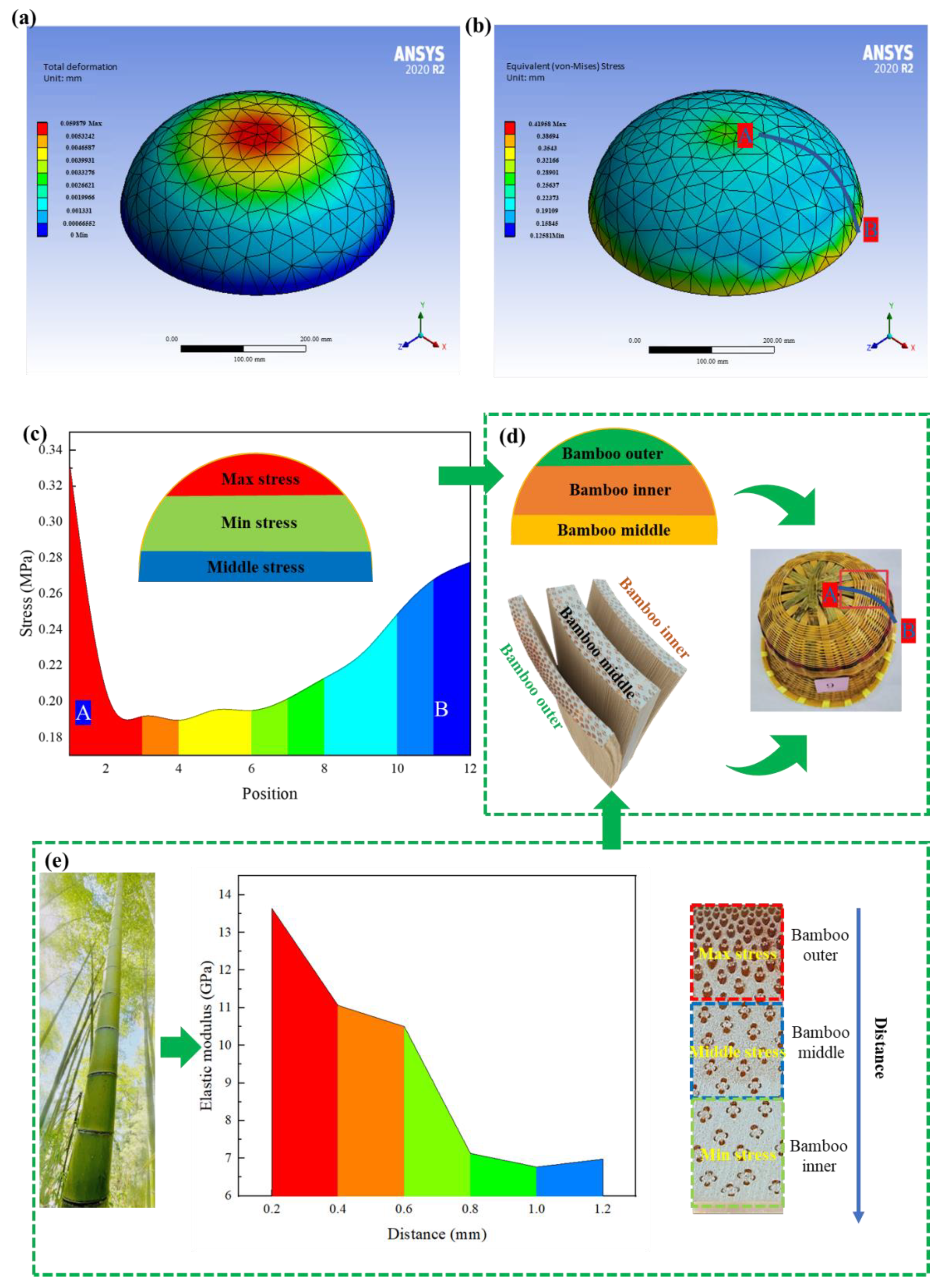 Forests 13 01091 g005