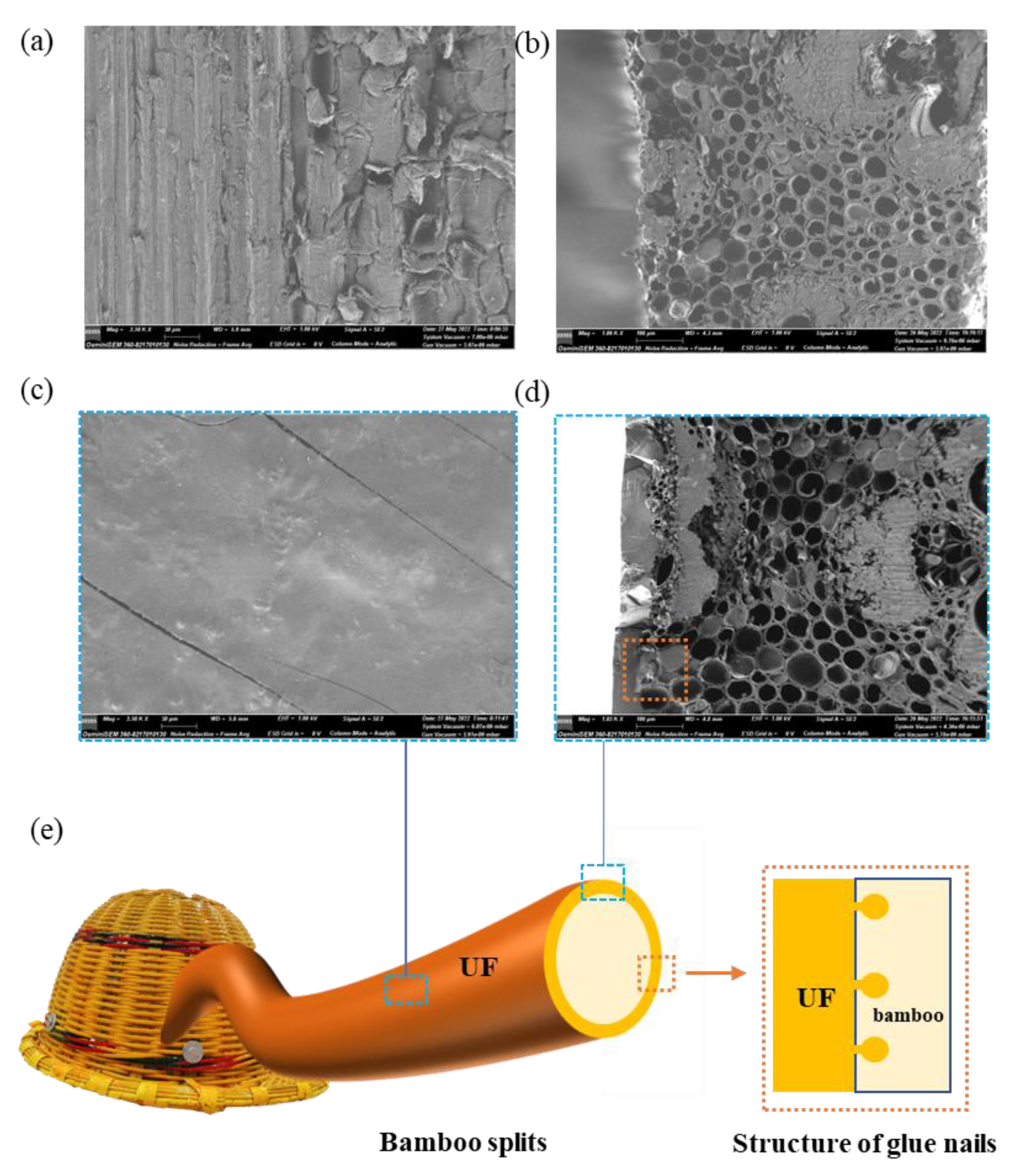 Forests 13 01091 g007