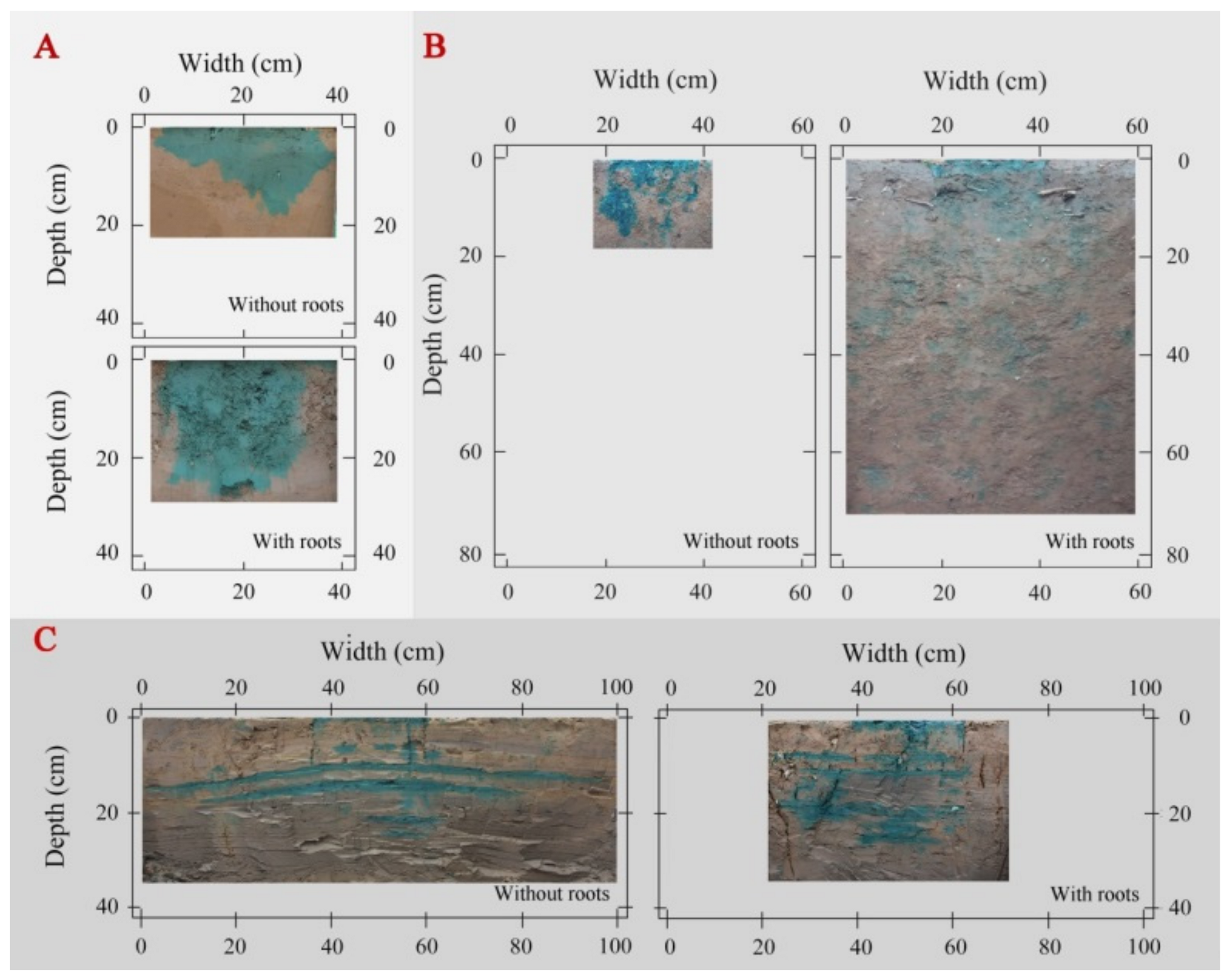 Forests 13 01095 g001
