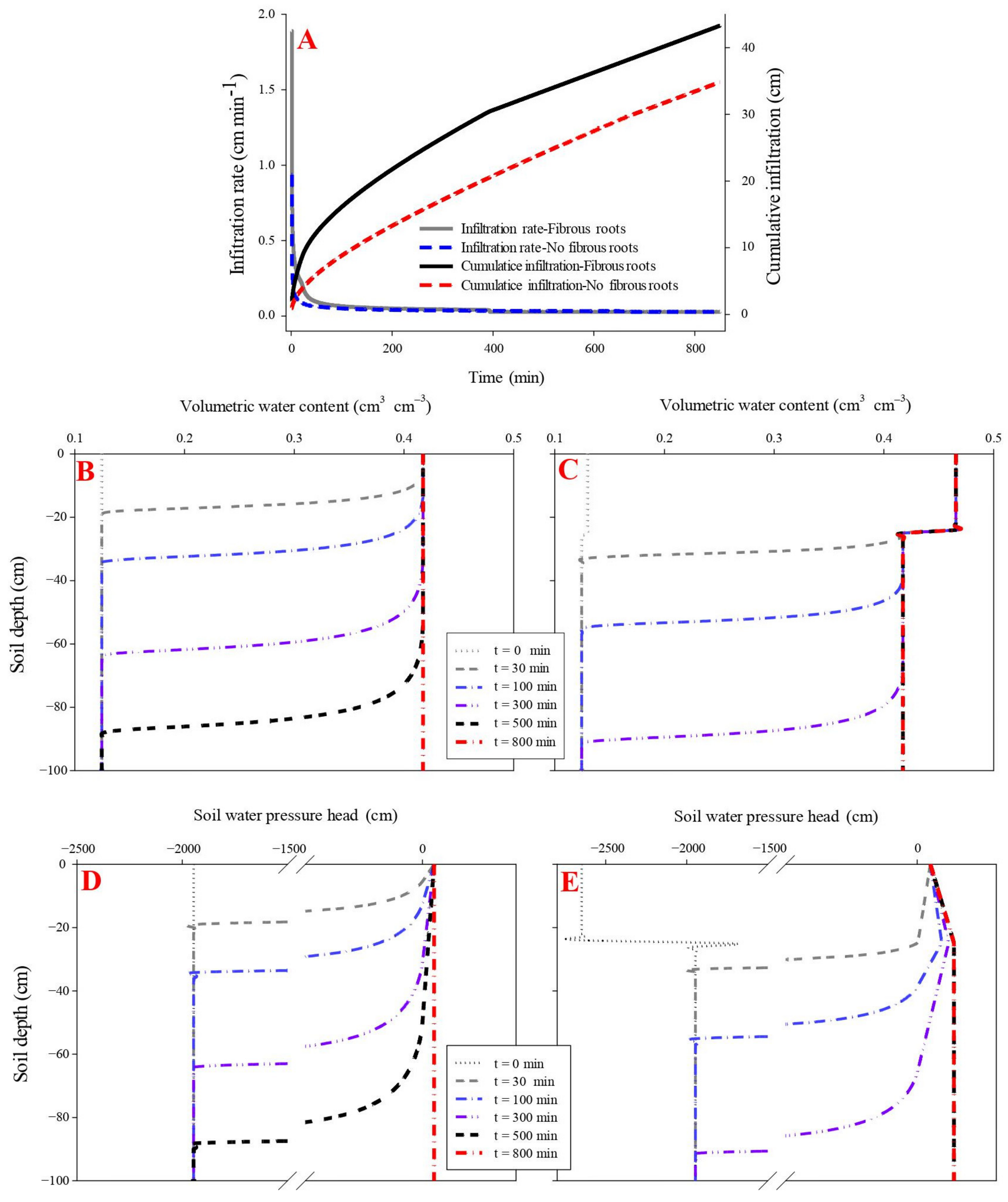 Forests 13 01095 g002