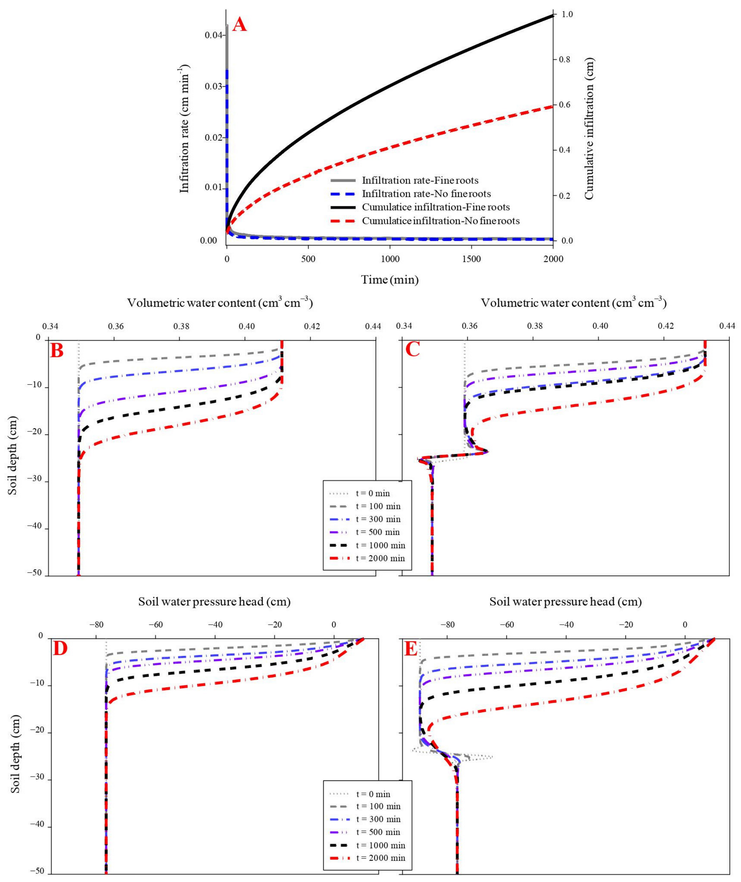 Forests 13 01095 g004
