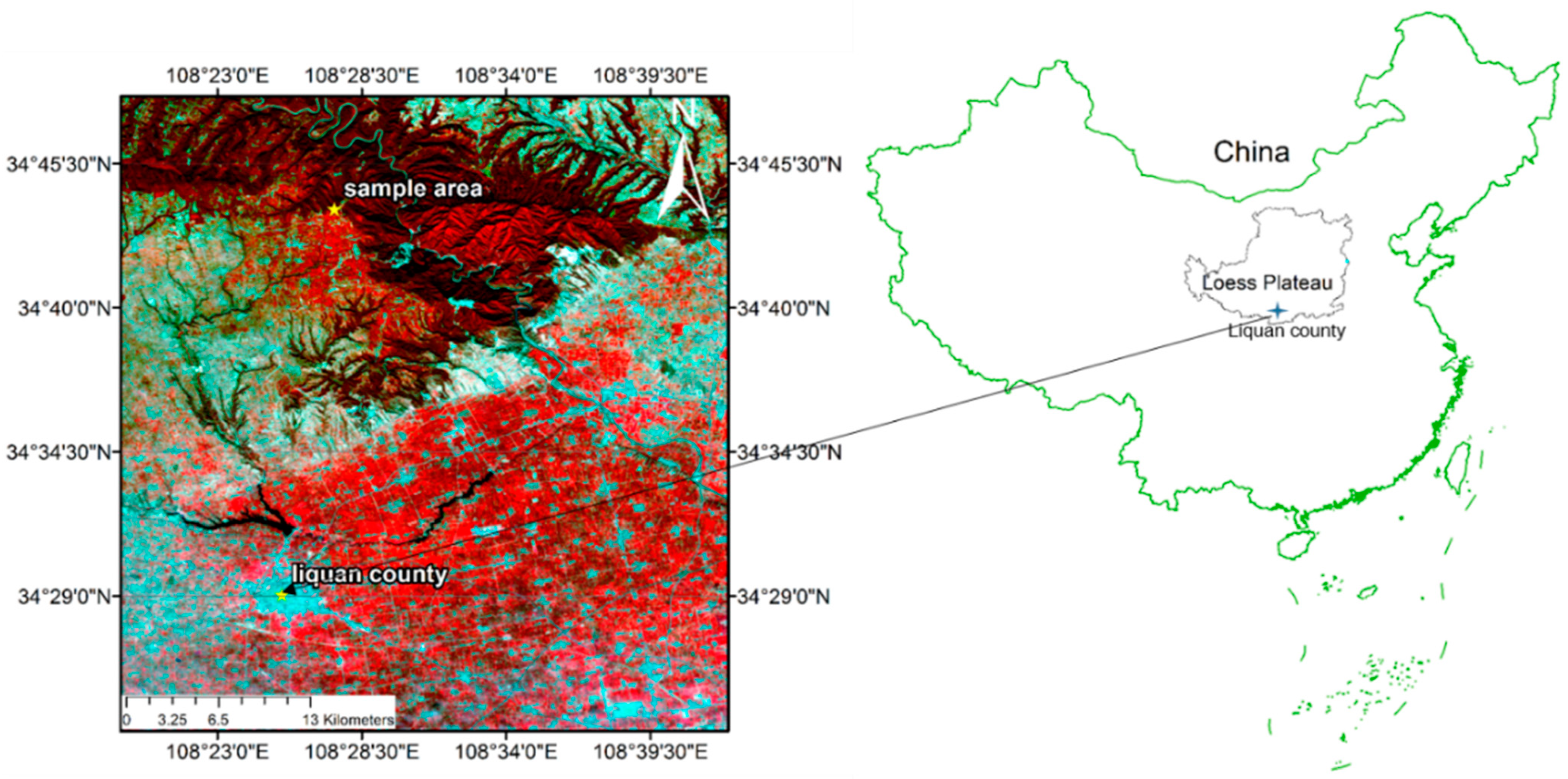 Forests 13 01096 g001