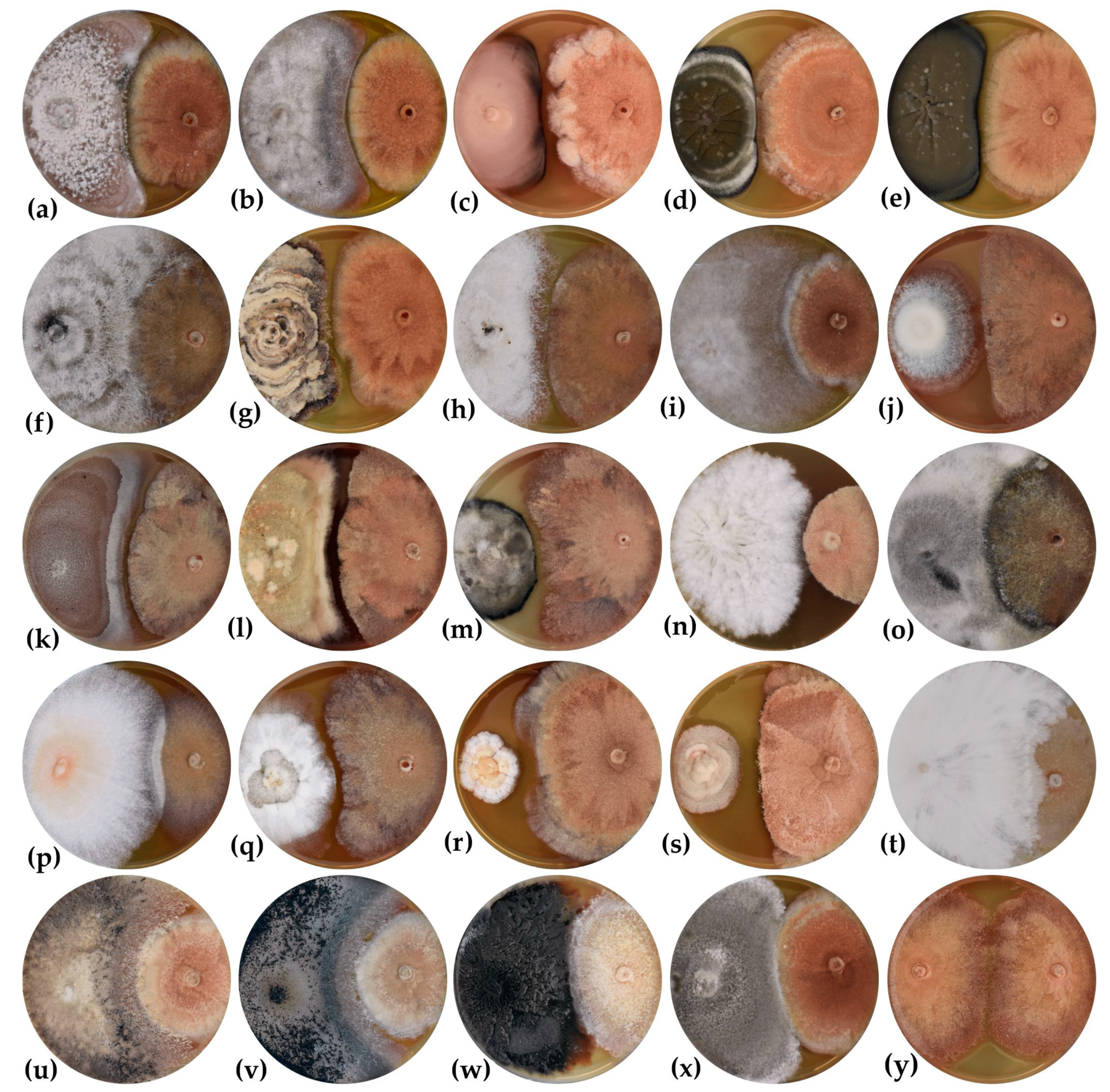 Forests 13 01098 g004