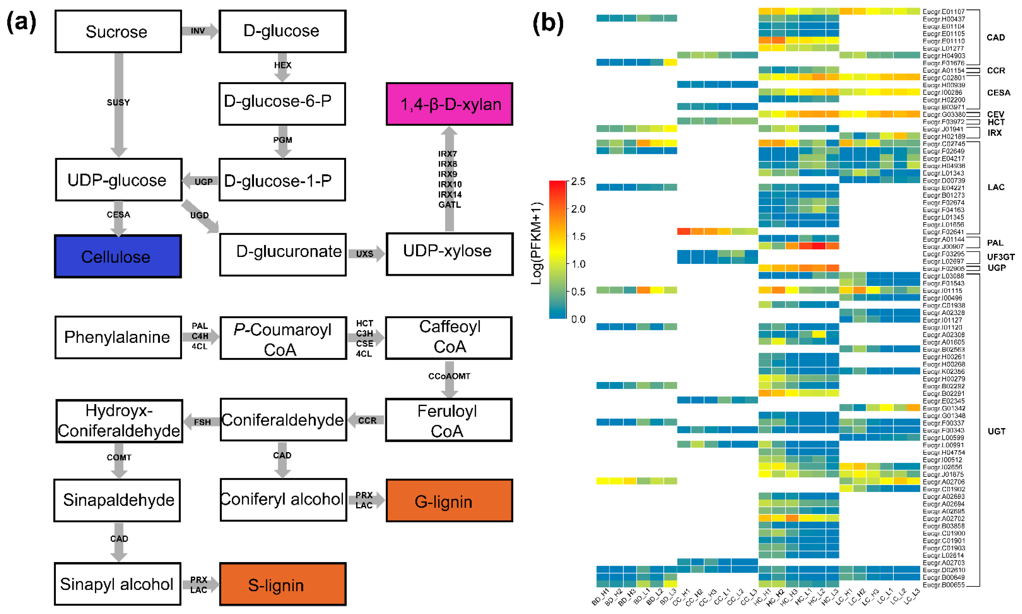 Forests 13 01102 g005
